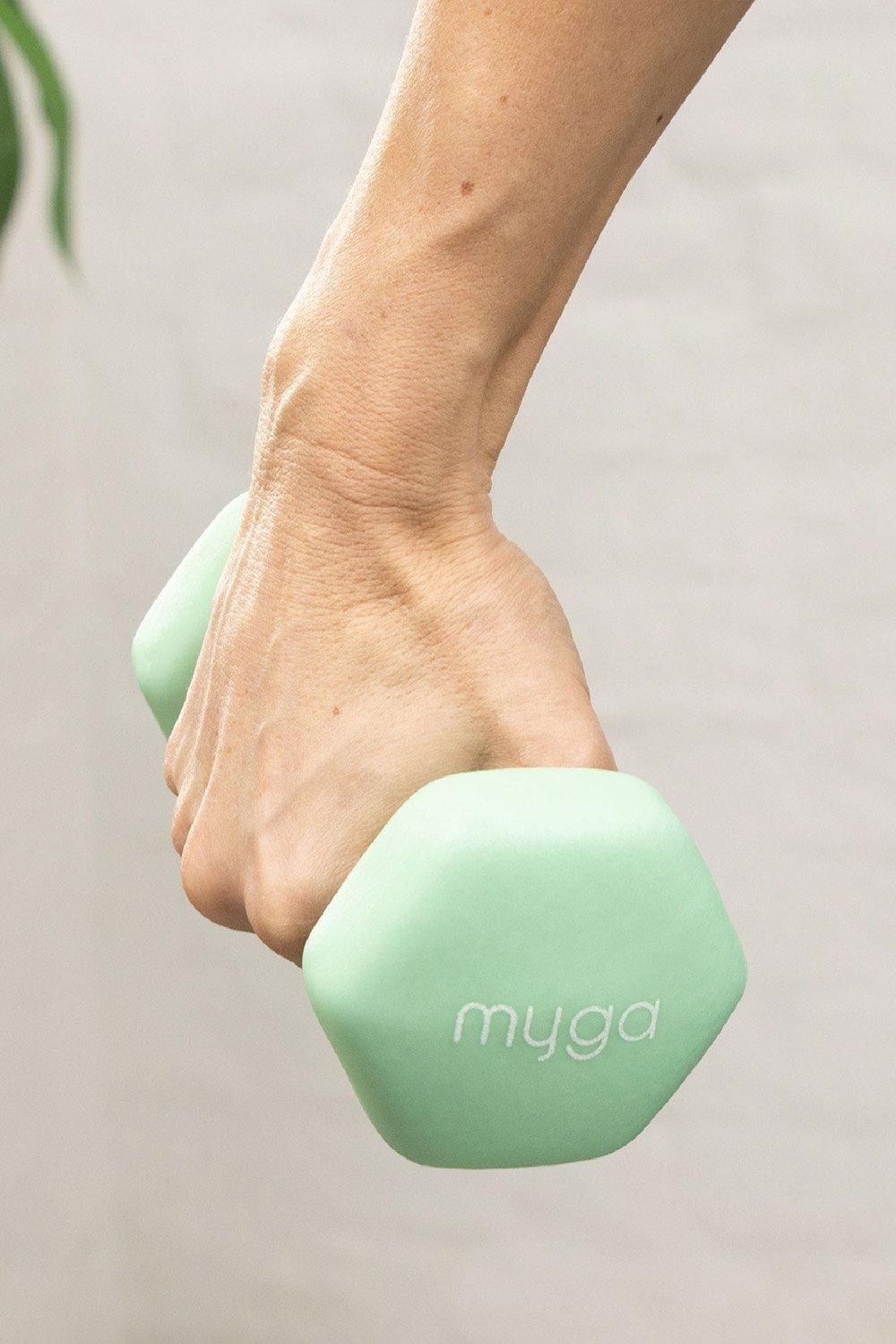 Myga Hexagonal Dumbbell - 2kg Pair image 2