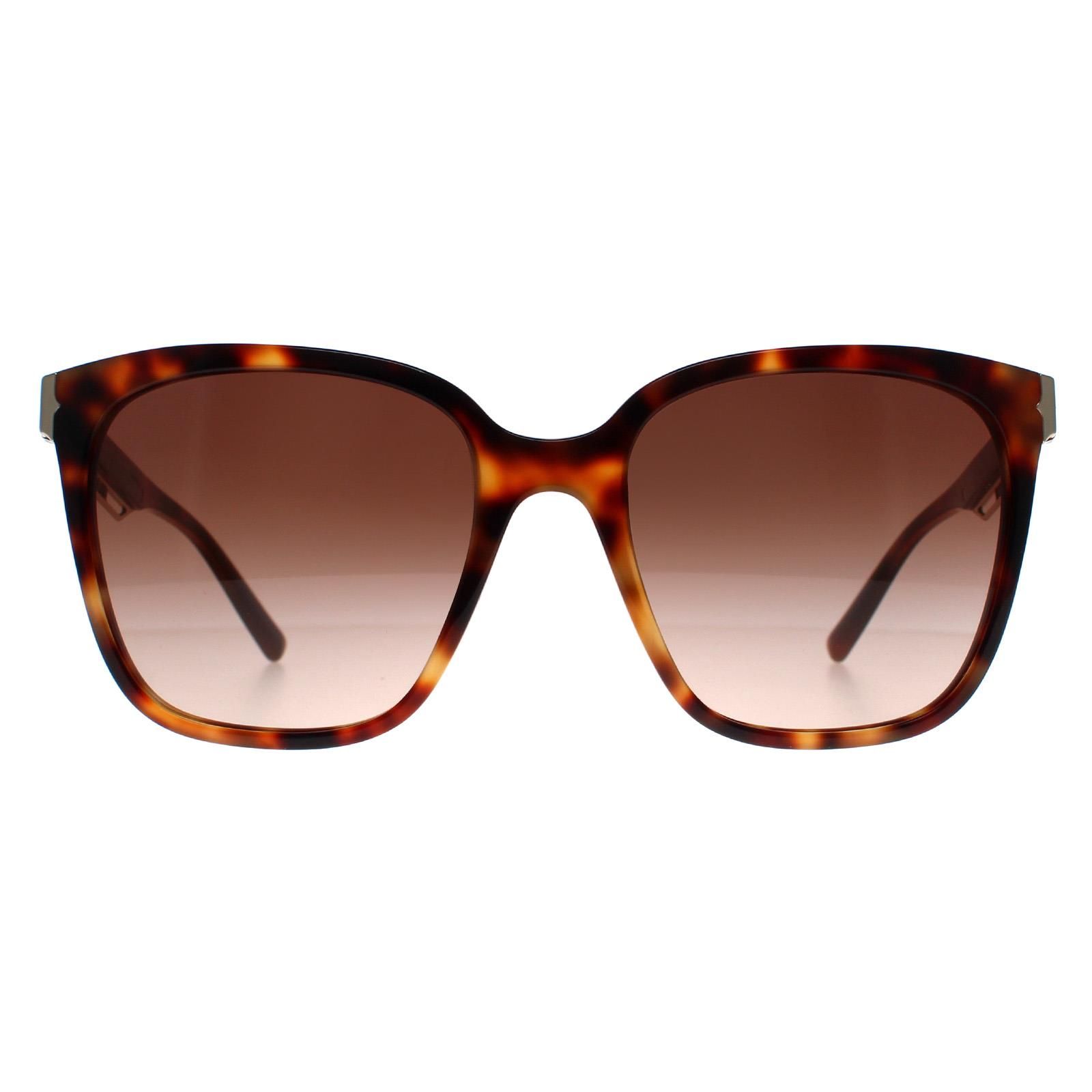 Bvlgari Square Havana Brown Gradient BV8245 image 1