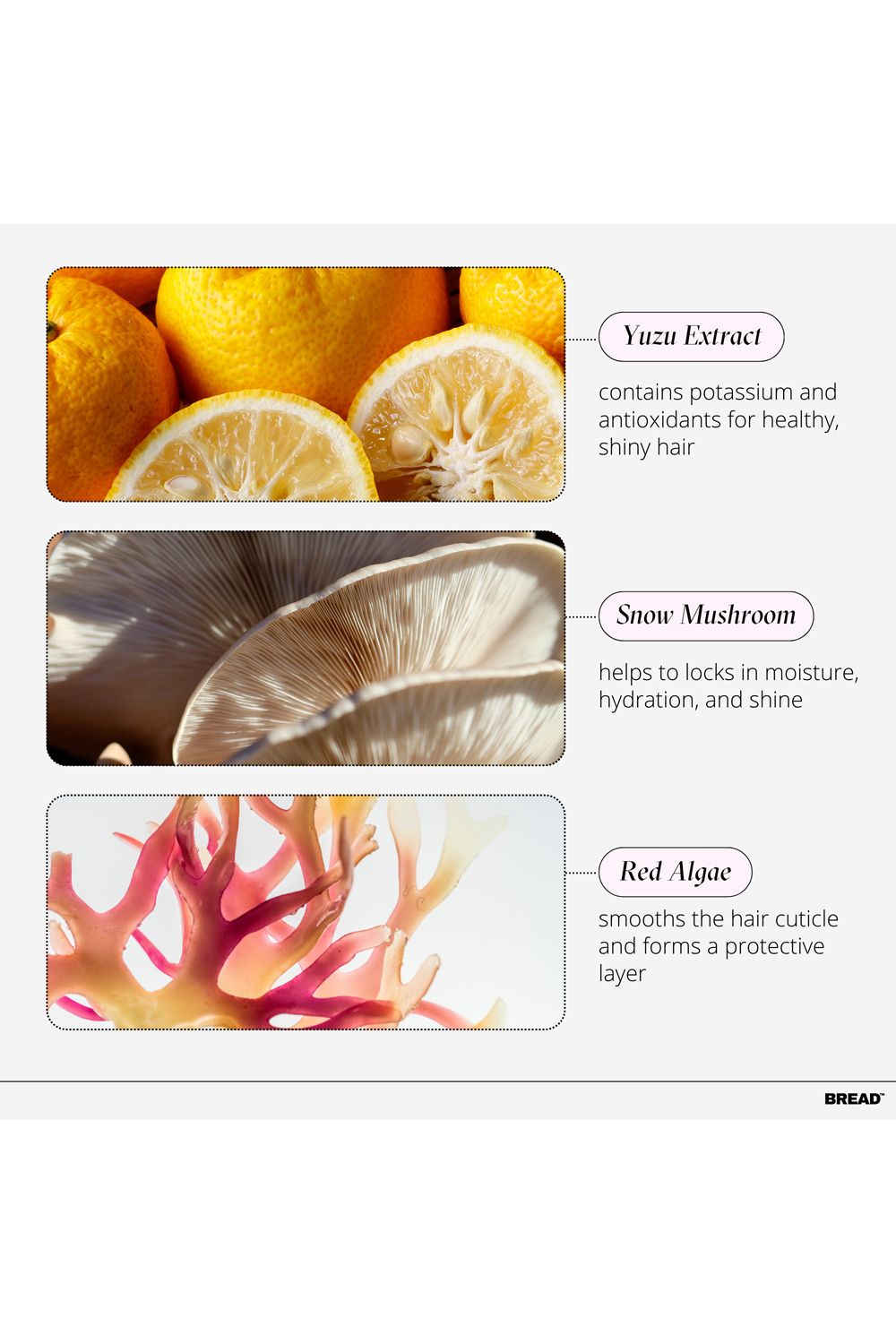 BREAD BEAUTY SUPPLY HAIR GEL: Curl Defining SBREtyler 185ml Multi image 3