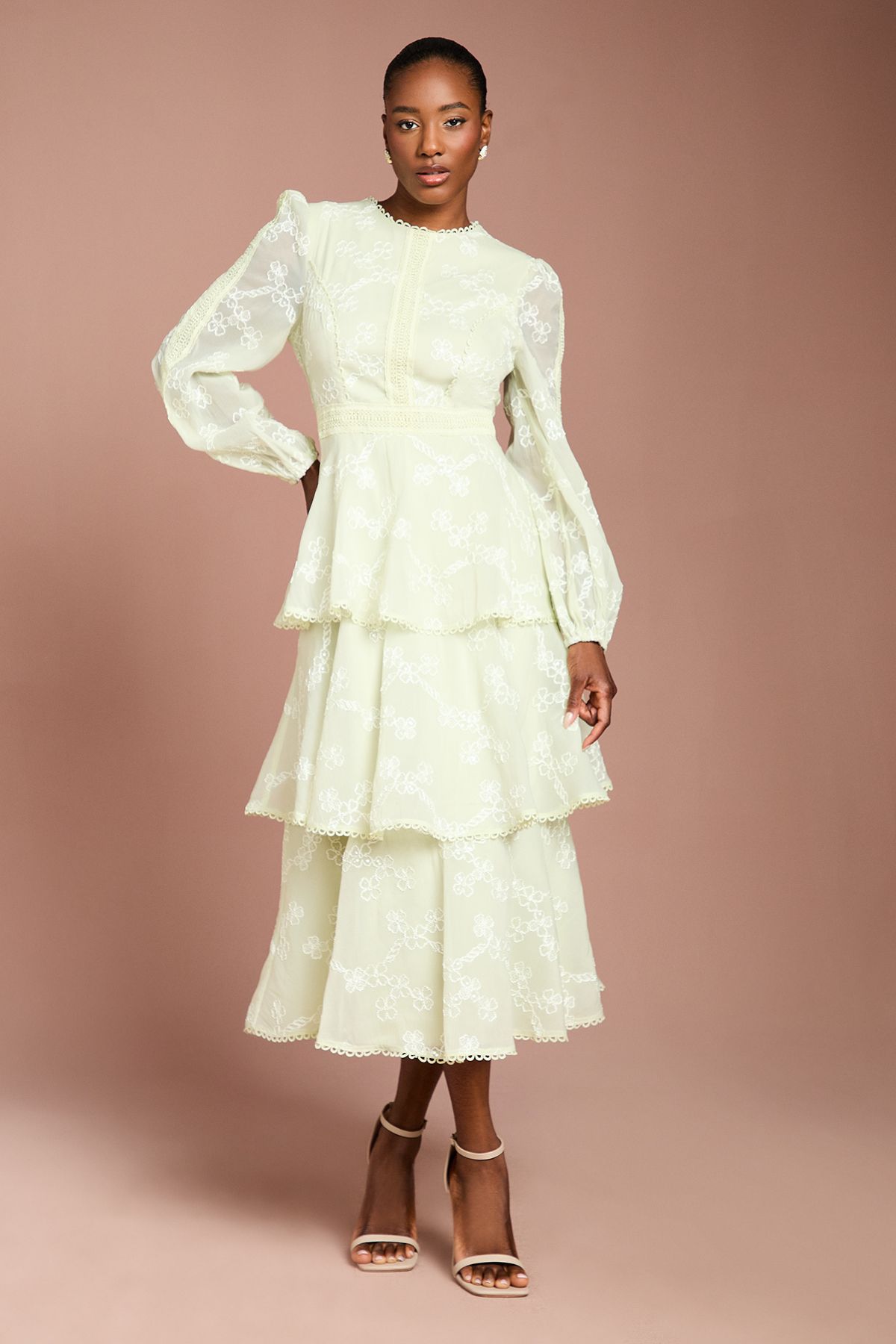 Coast Lace Trim Embroidered Mesh Midi Dress Sage