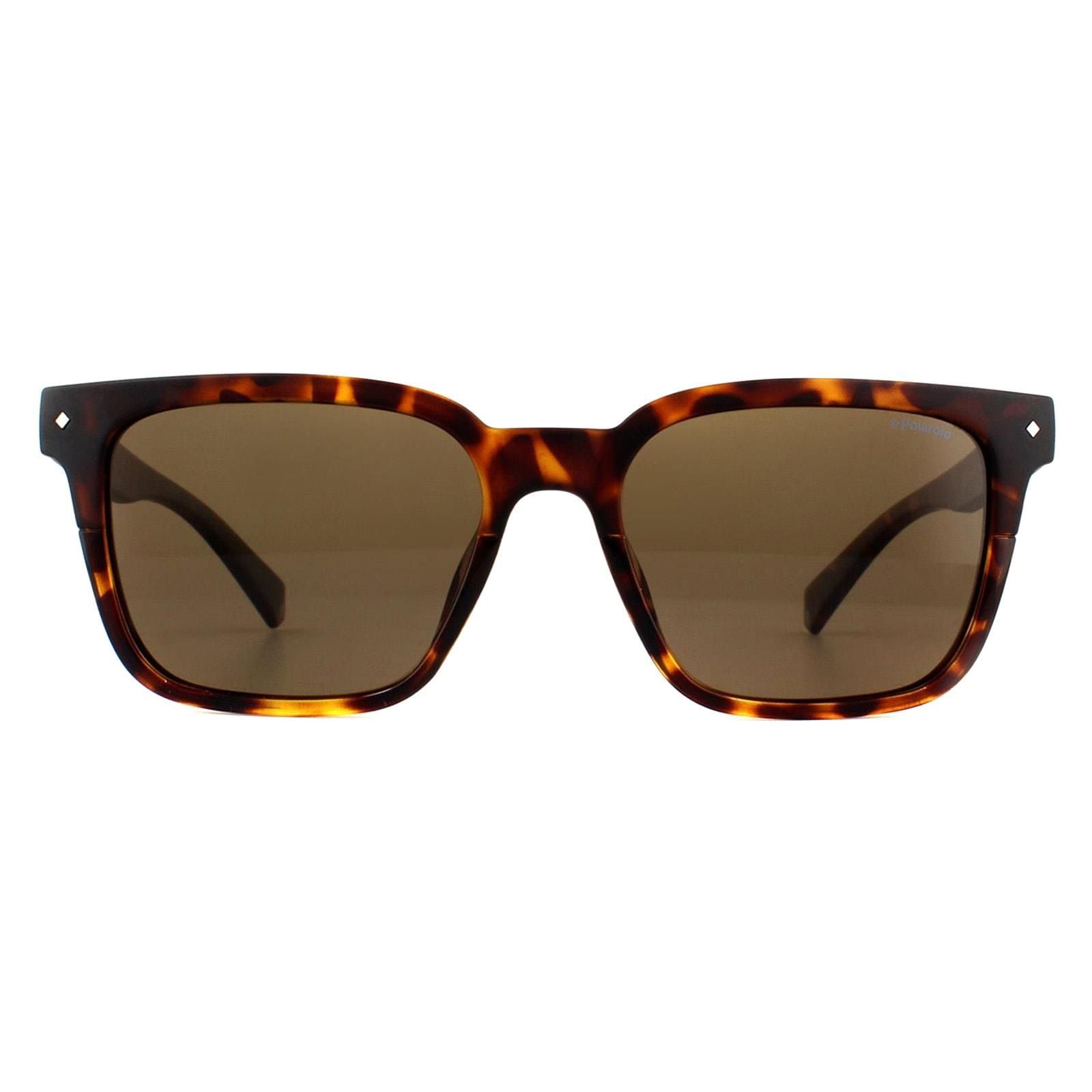Polaroid Square Dark Havana Bronze Polarized Sunglasses image 1