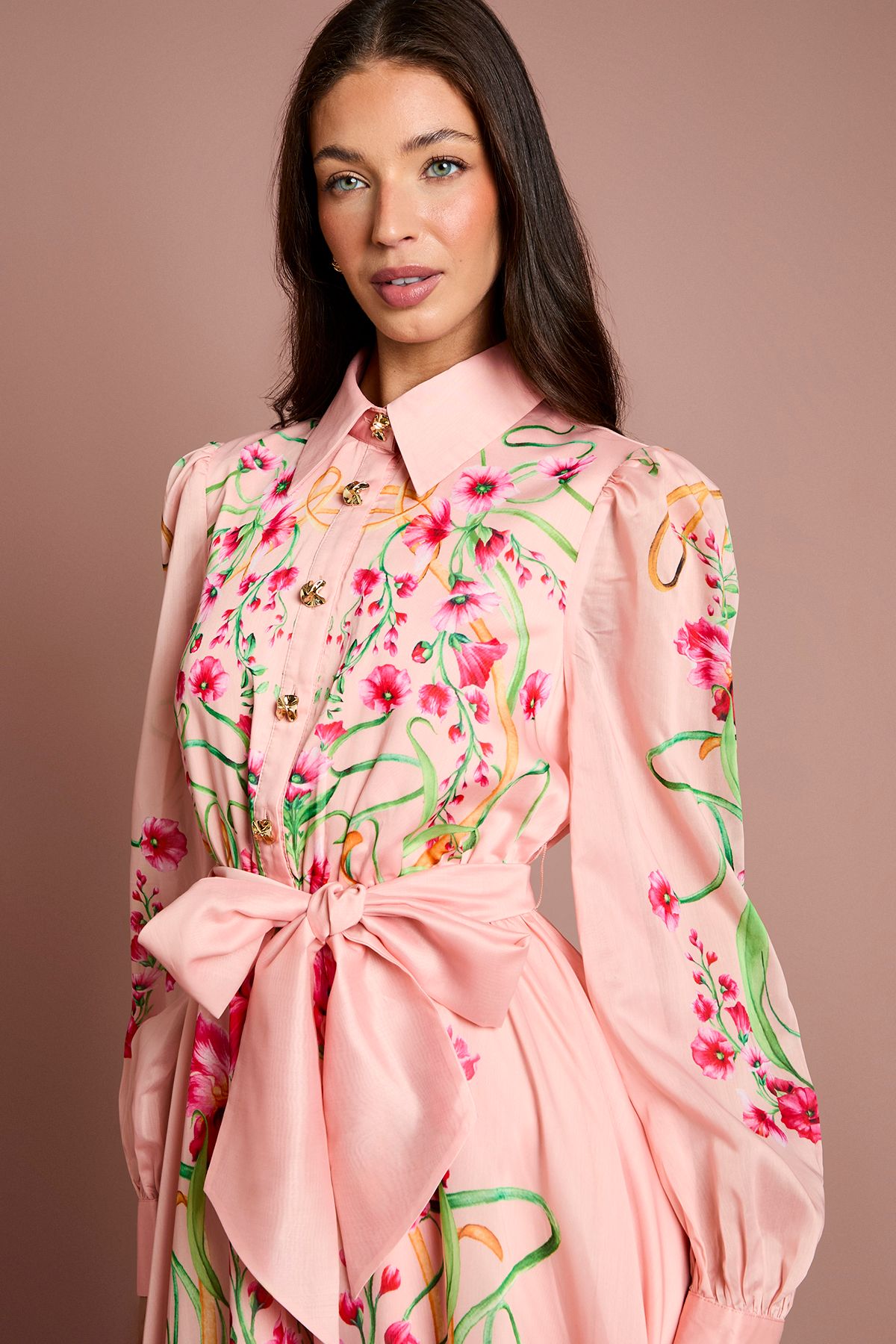 Coast Boarder Print Organza Shirt Dress Blush image 4