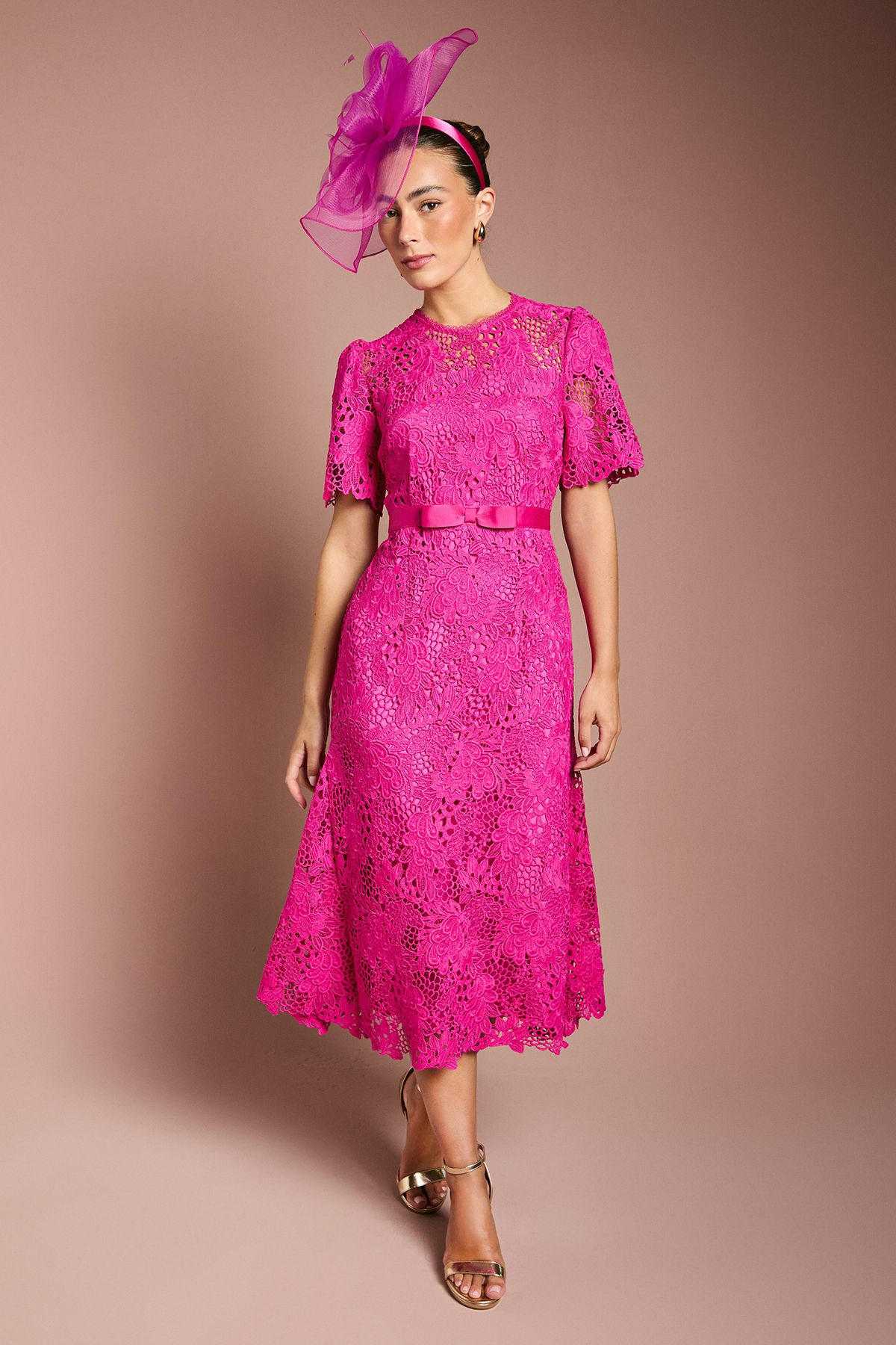 Coast Lace Midi Dress With Bow Belt Berry image 1