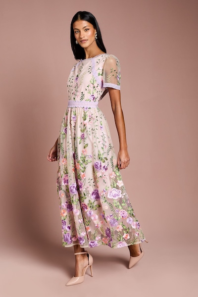 Coast Petite Lace Trim Detail Embroidered Mesh Midi Dress Blush