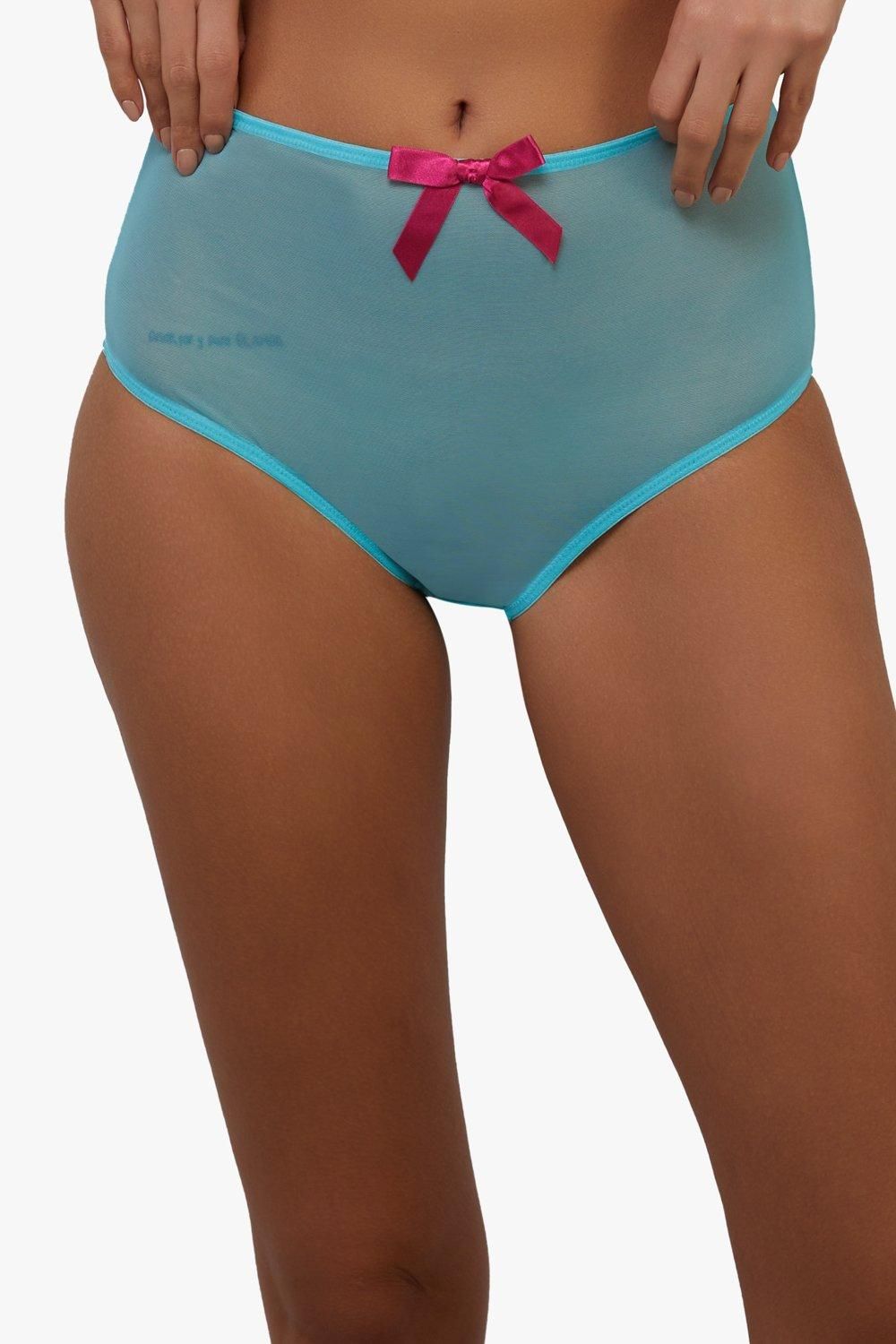 Playful Promises Cleo Contrast Stitch Mesh Retro High Waisted Brief image 1