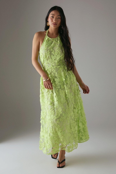 Warehouse Petite 3D Embroidered Halter Open Back Midi Dress Apple Green