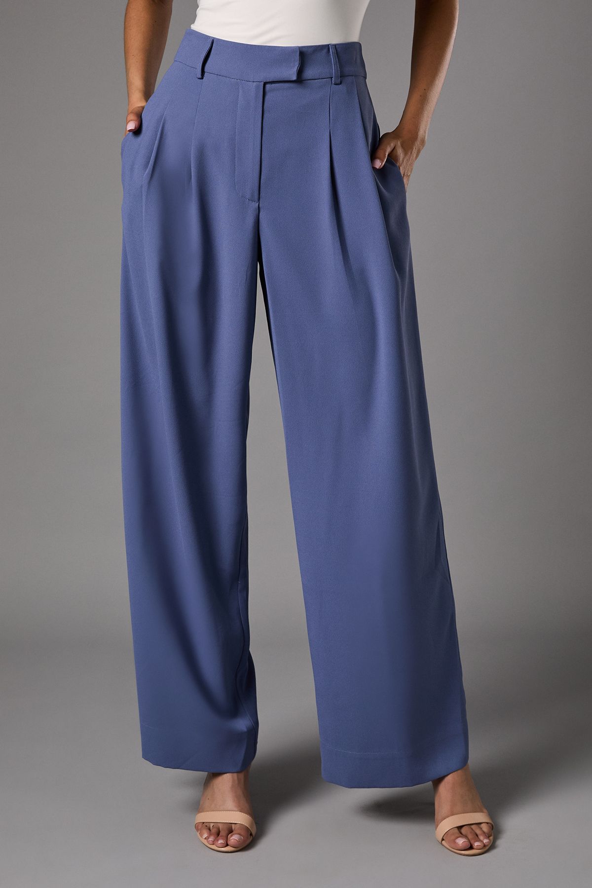 Coast Pleat Front Wide Leg Trouser Blue image 2
