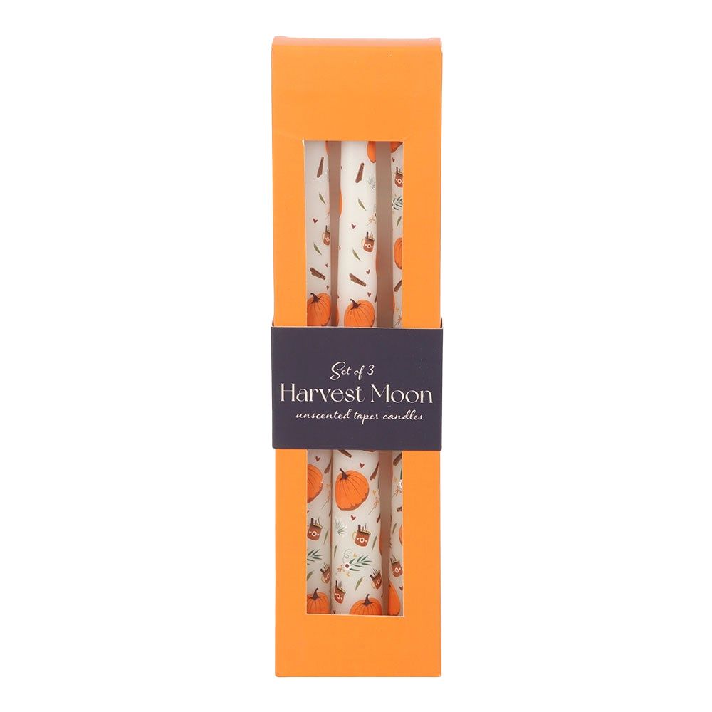 Something Different Taper Pumpkin Candles Set (Pack of 3) image 3