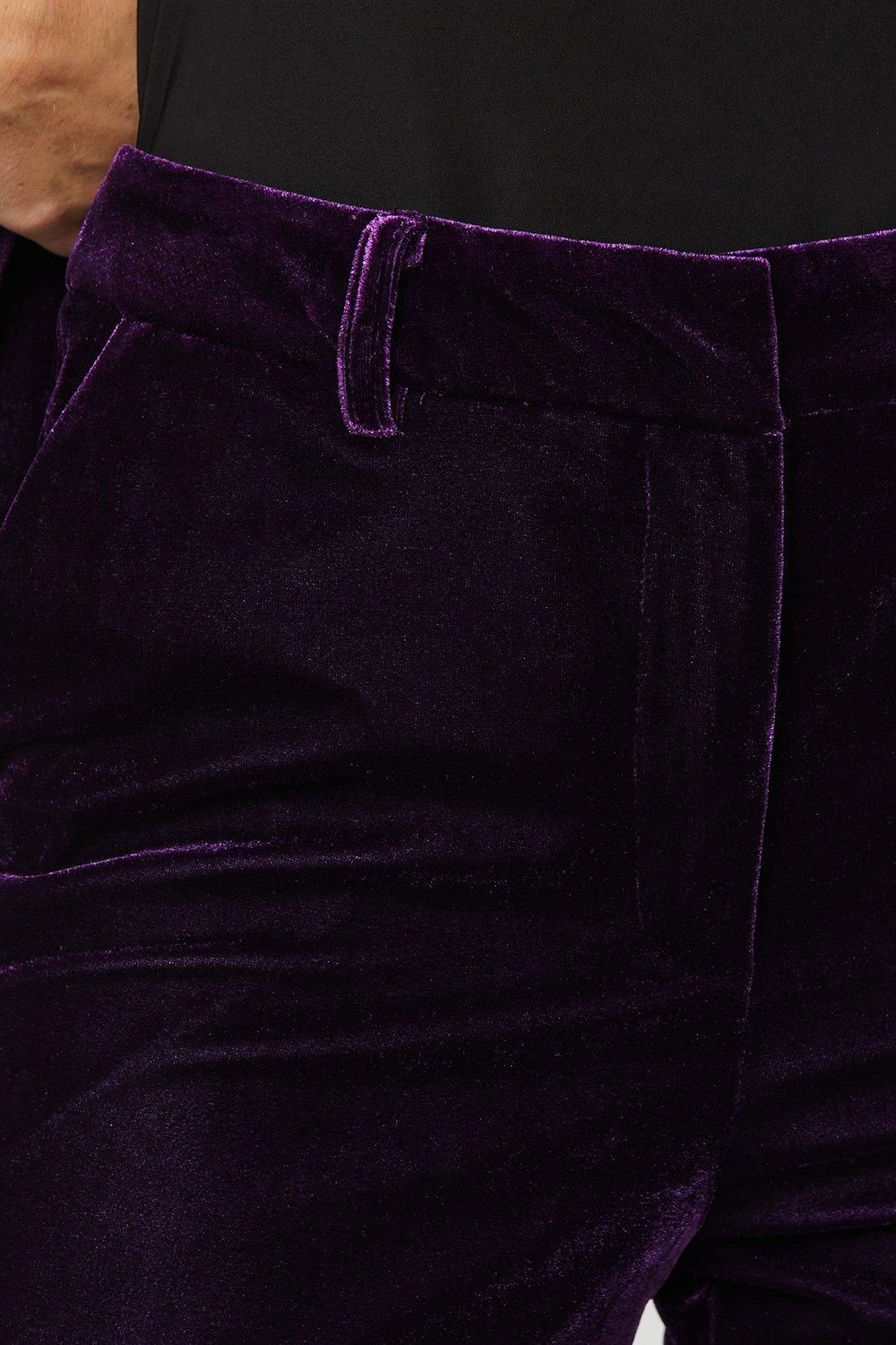 Dorothy Perkins Velvet Tailored Trouser Midnight Purple image 5