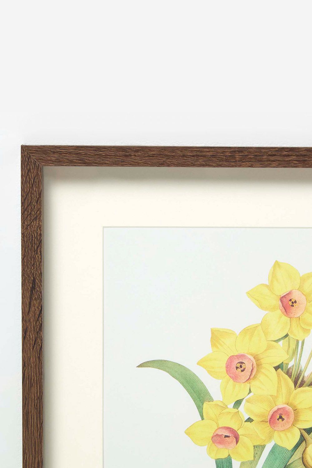 Homescapes Set of 2 Narcissus Flower Wall Art image 4