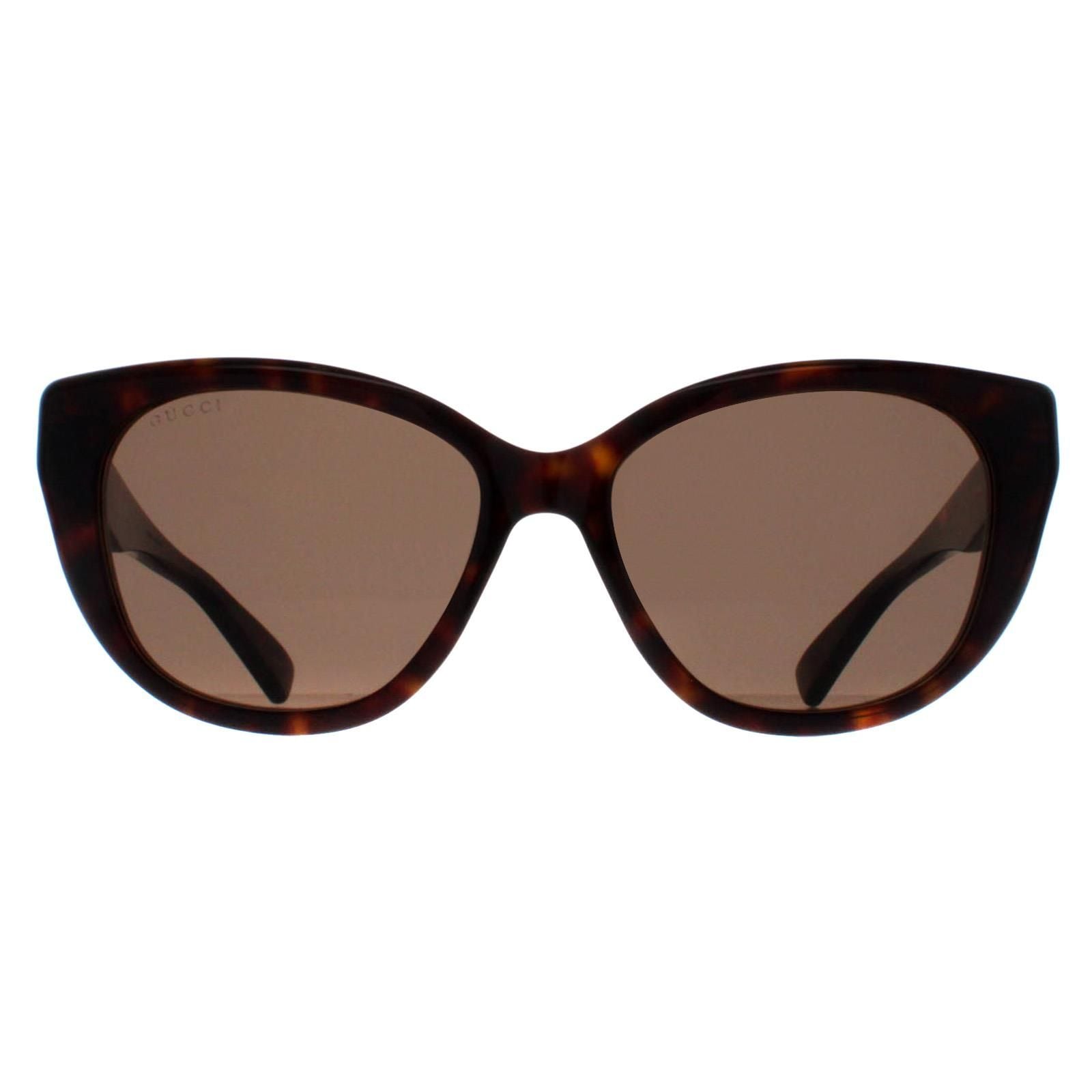 Gucci Cat Eye Havana Brown GG1588S image 1
