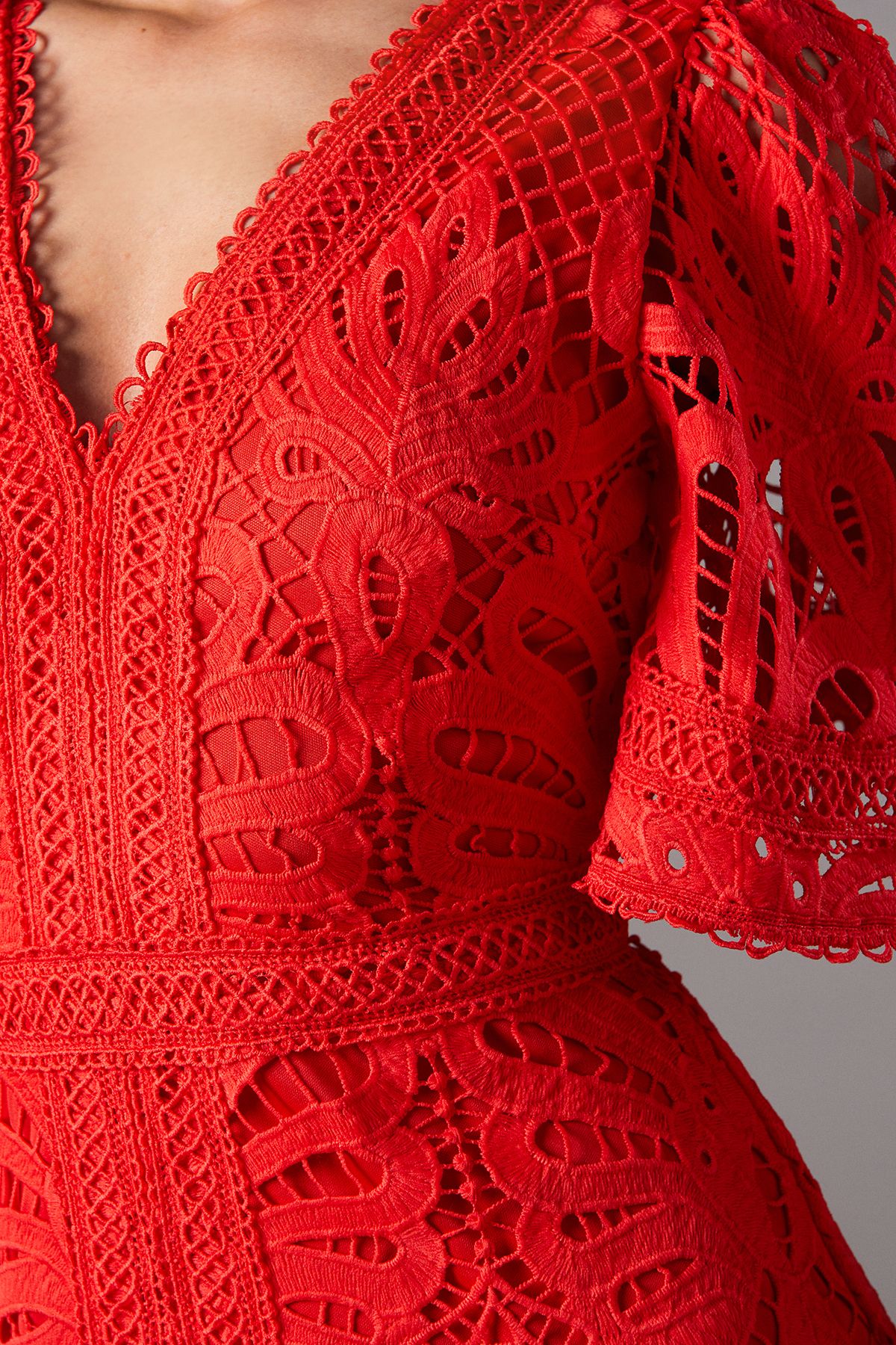 Coast Placement Lace Hanky Hem Dress Poppy image 5