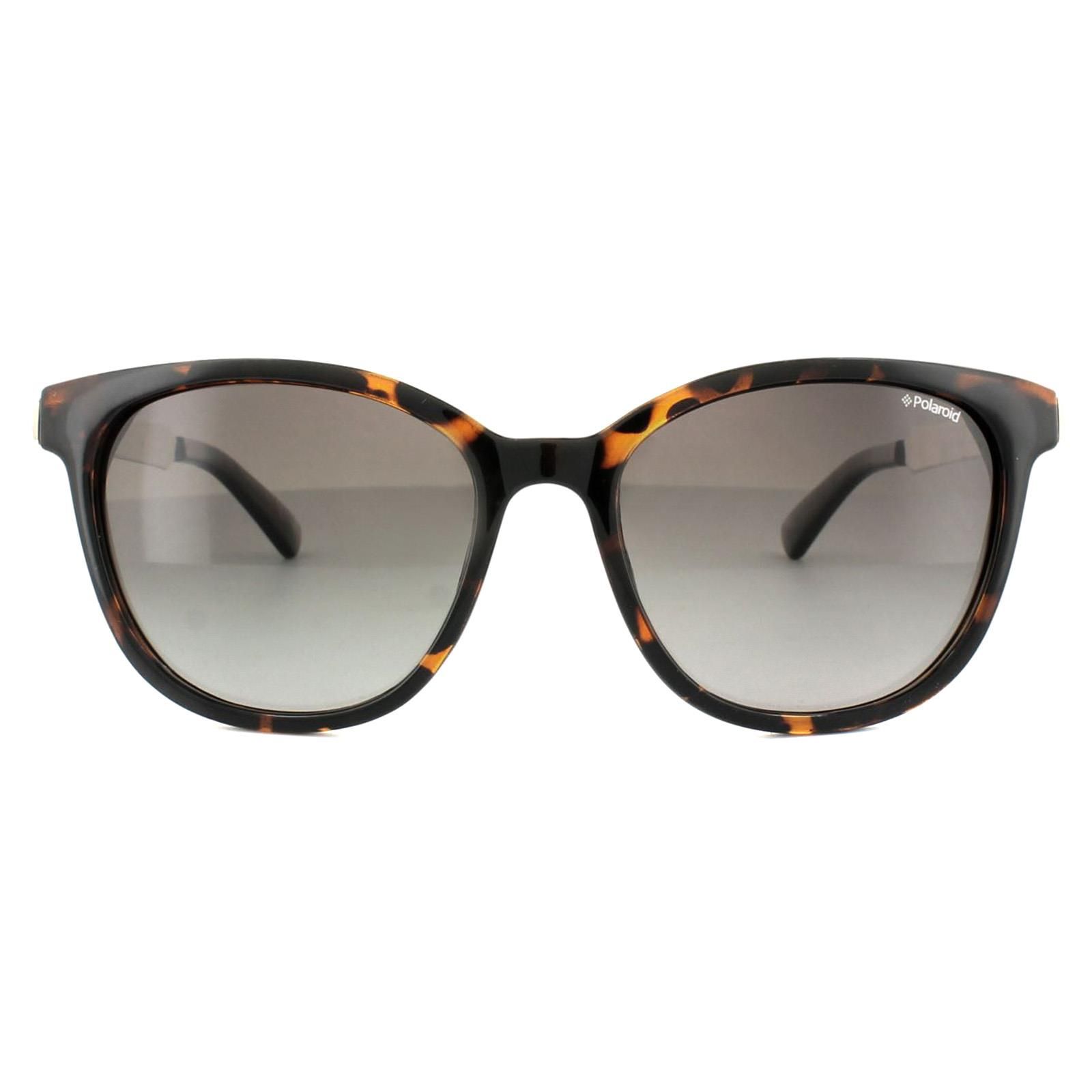 Polaroid Cat Eye Havana Gold Brown Polarized Sunglasses image 1