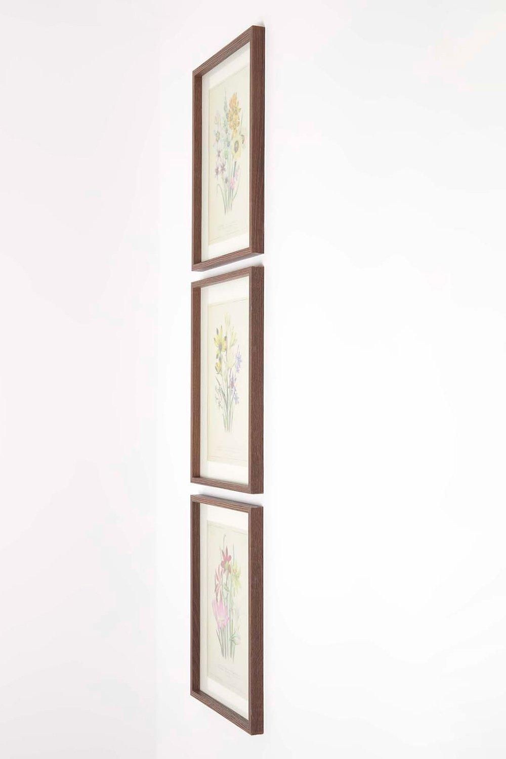 Homescapes Wall Decoration Set of 3 Frames with Picture, Wildflowers image 5