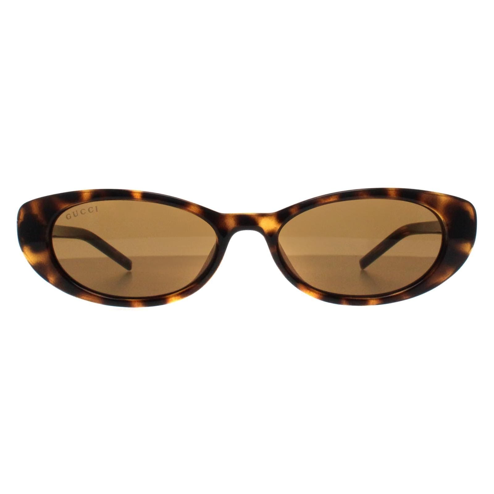 Gucci Cat Eye Havana Brown GG1680S image 1