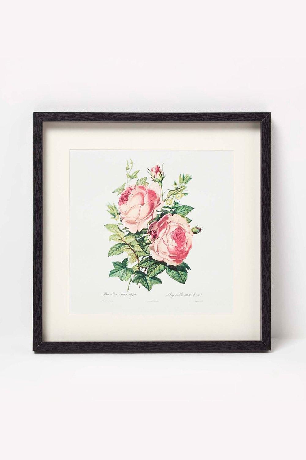 Homescapes Wall Decoration Set of 3 Frames with Picture, Roses image 2