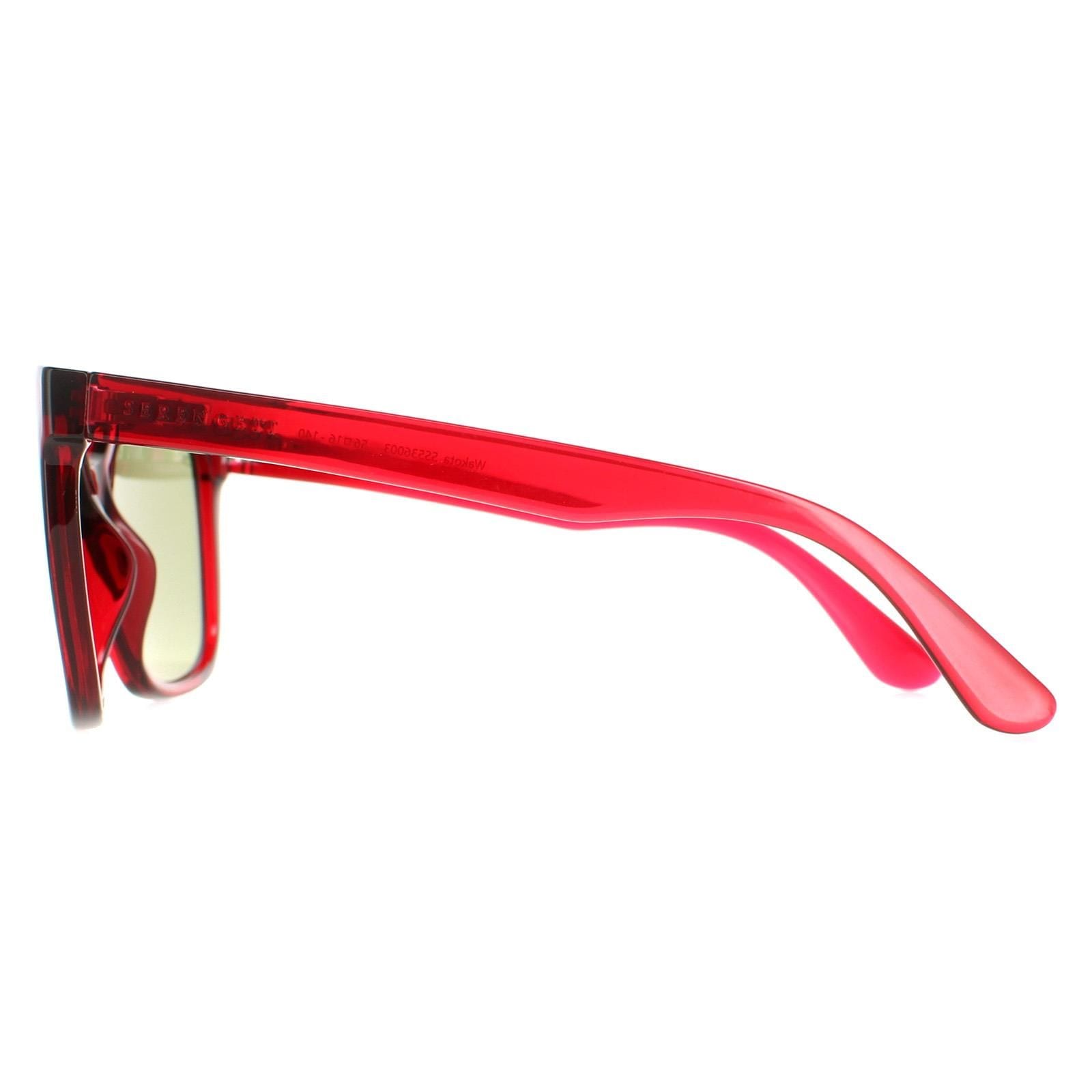 Serengeti Square Shiny Black  Saturn Polarized 555nm Wakota image 3