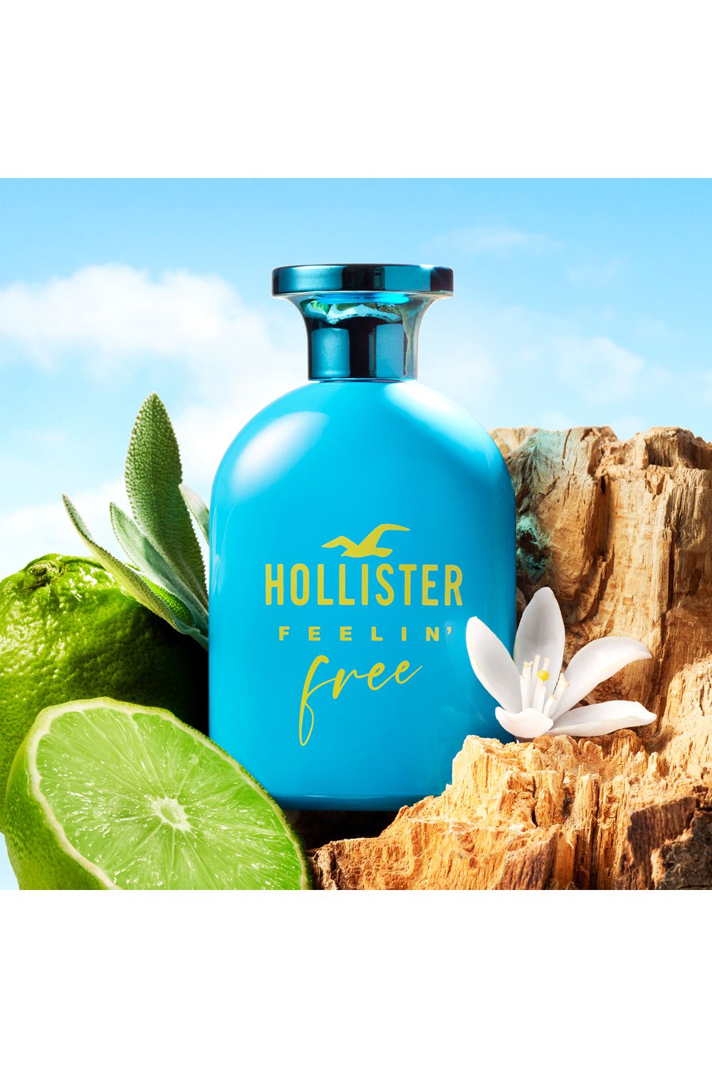 Hollister Feelin' Free For Him Eau De Toilette 100ml Misc image 3