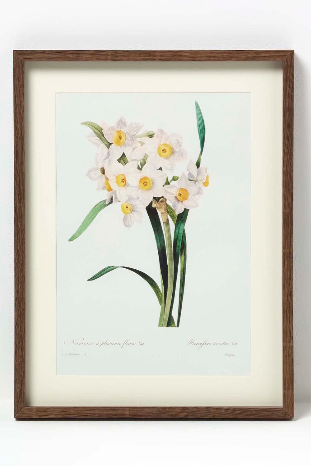 Homescapes Set of 2 Narcissus Flower Wall Art image 3