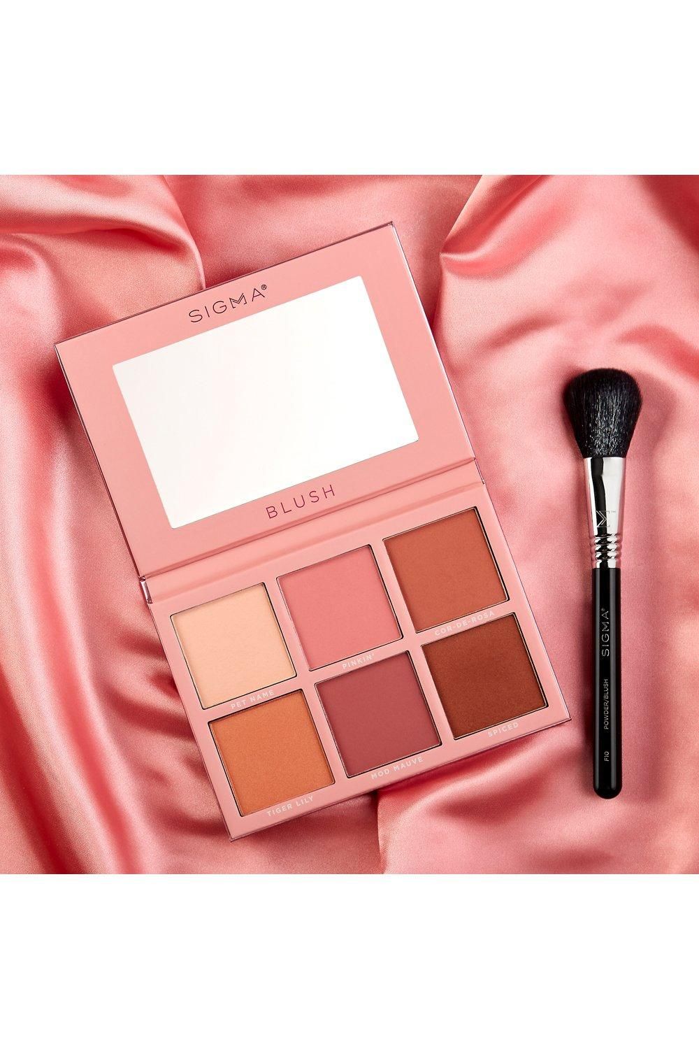 Sigma F10 - Powder/Blush Brush Black image 3