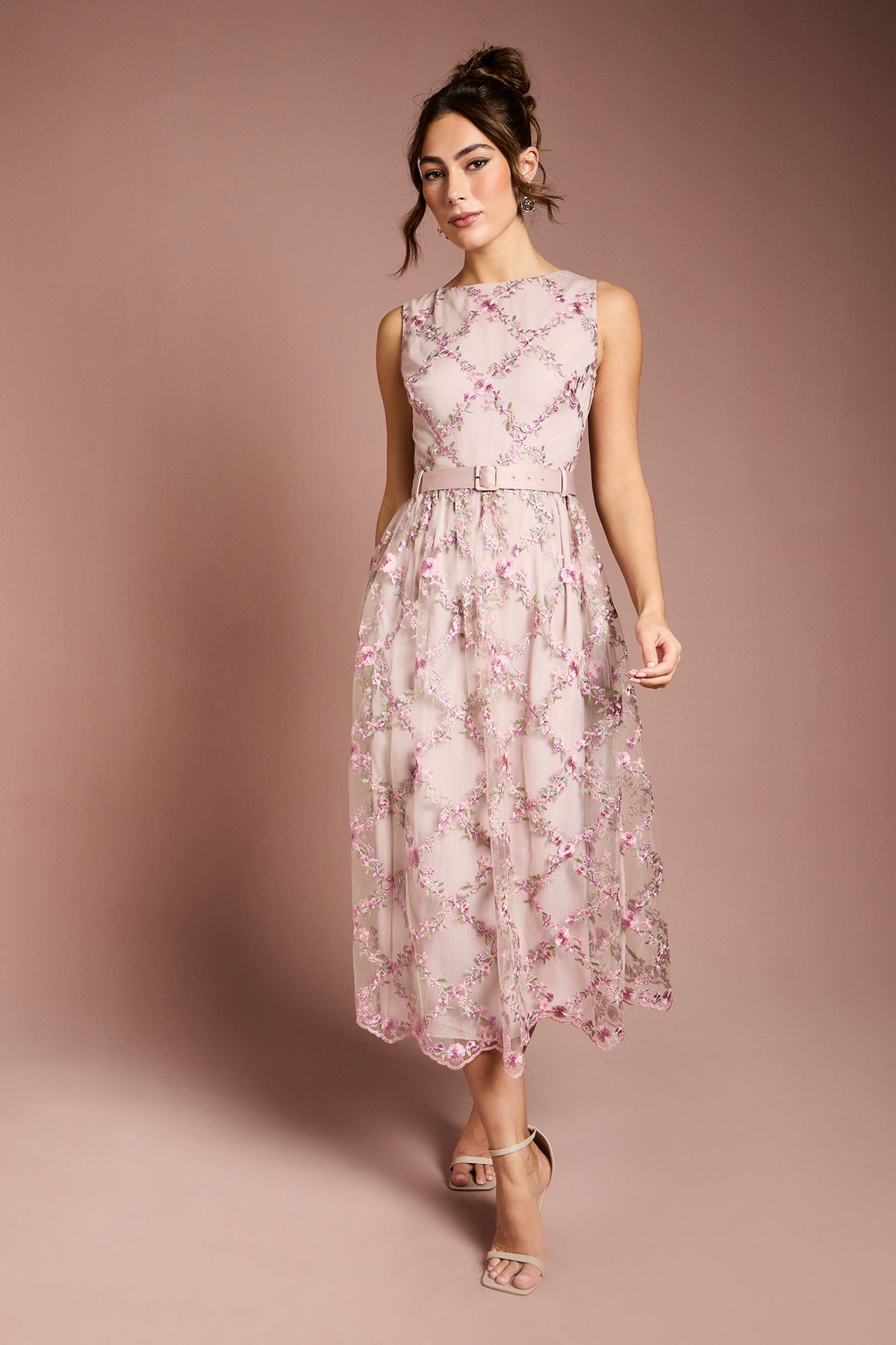 Coast Metallic Floral Embroidered Mesh Midi Dress Blush
