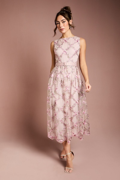 Coast Metallic Floral Embroidered Mesh Midi Dress Blush