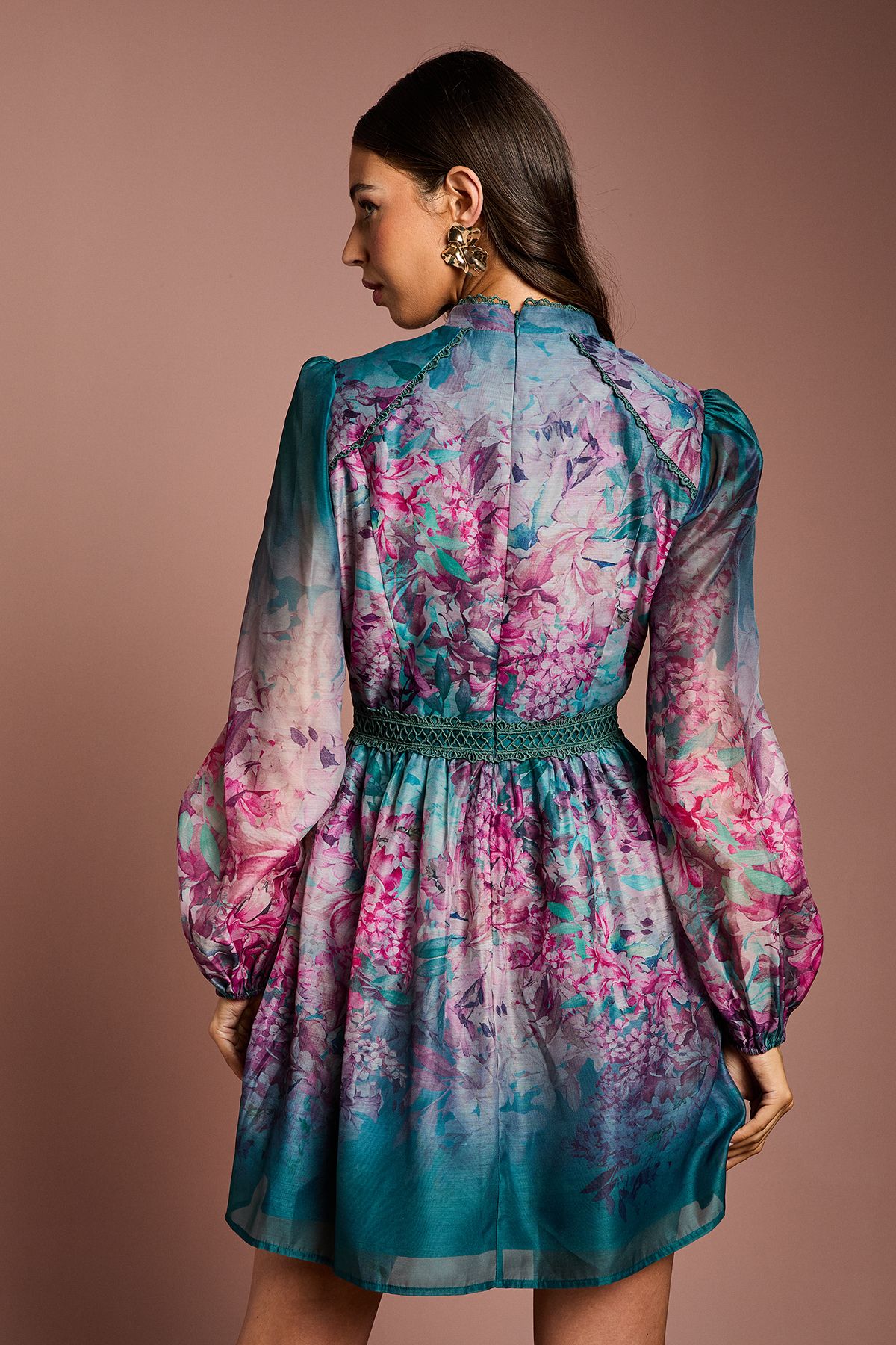 Coast Long Sleeve Organza Mini Dress With Floral Print Teal image 5
