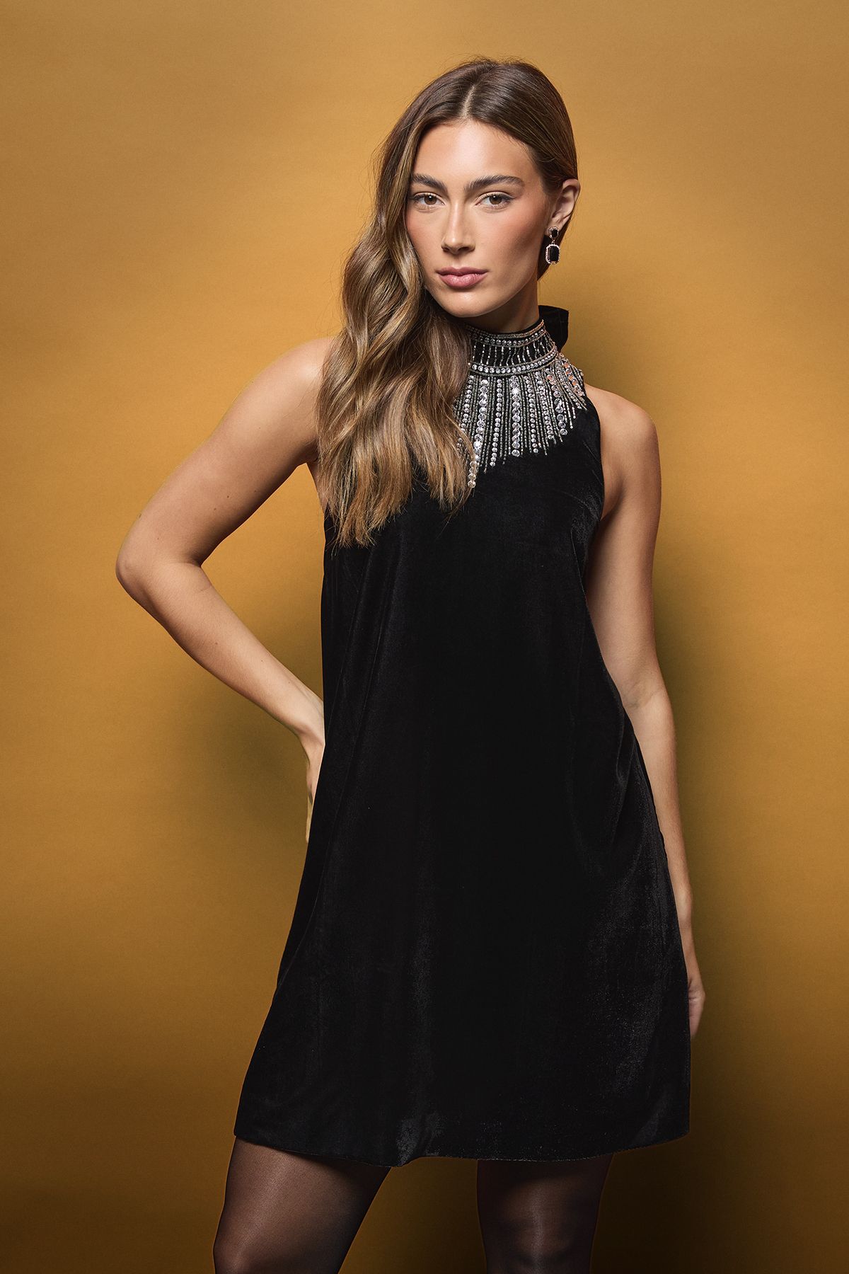 Coast Embellished High Neck Bow Detail Velvet Mini Dress Black image 2