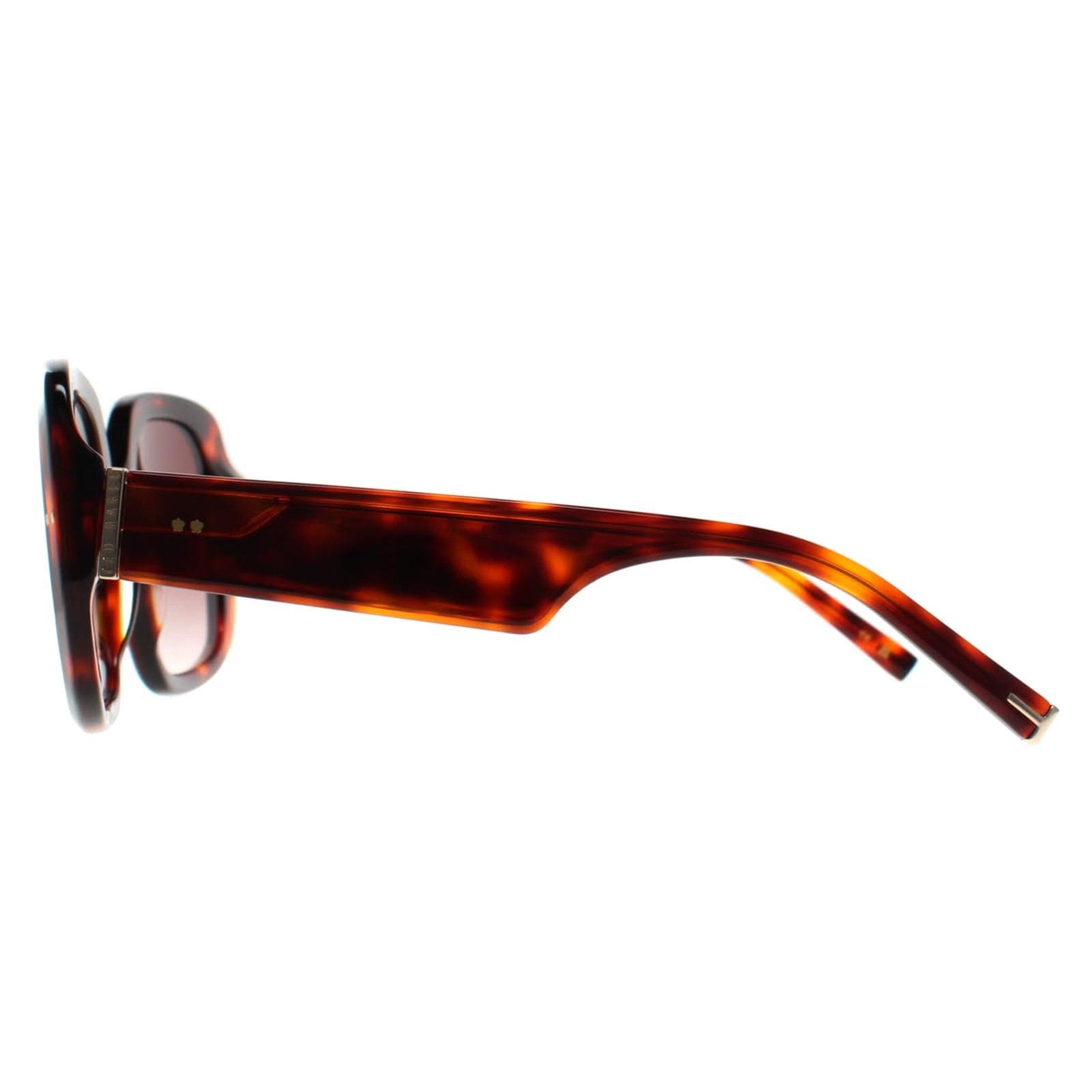Ted Baker Square Tortoise Brown Gradient TB1730 Catrina image 3