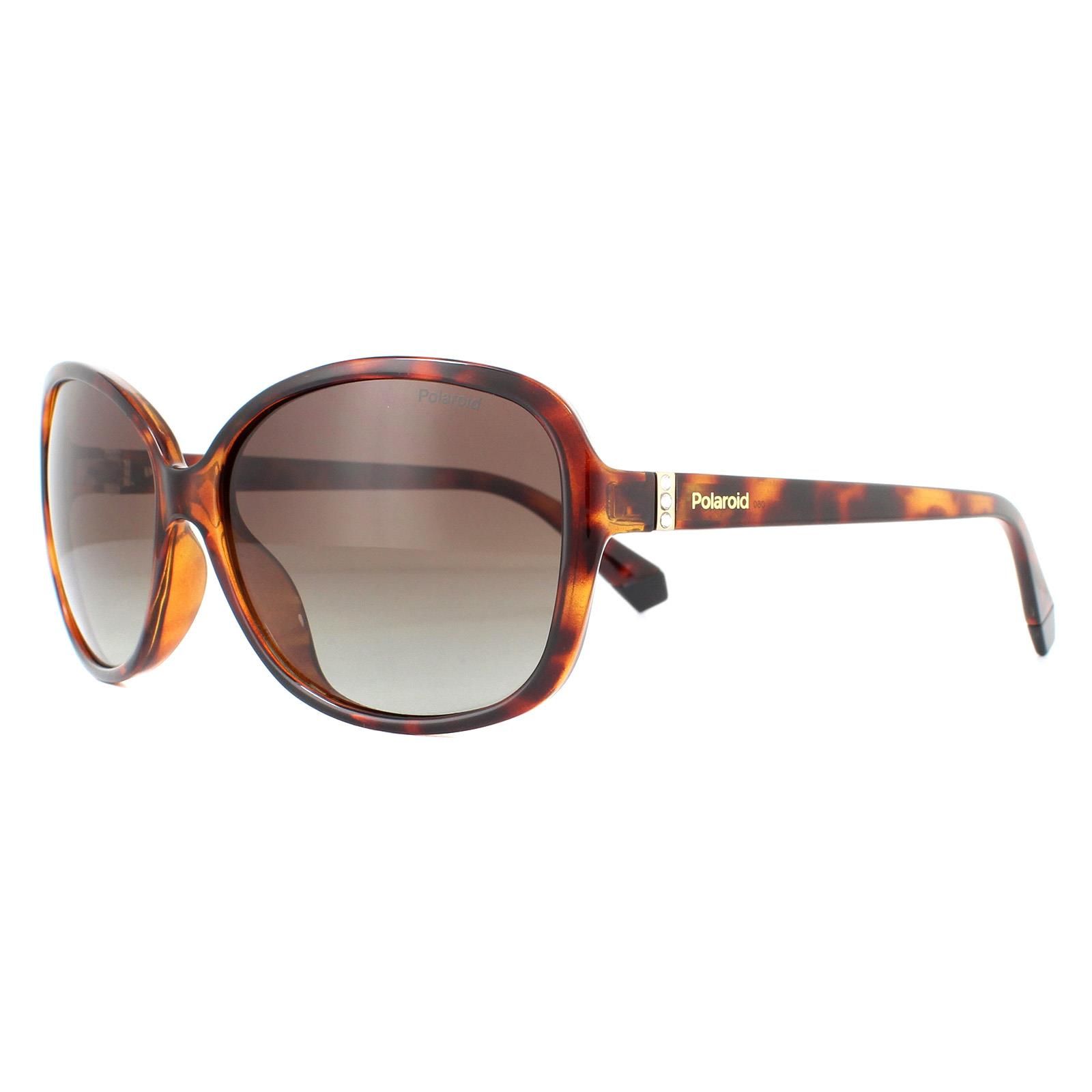 Polaroid Fashion Dark Havana Brown Gradient Polarised Sunglasses image 2