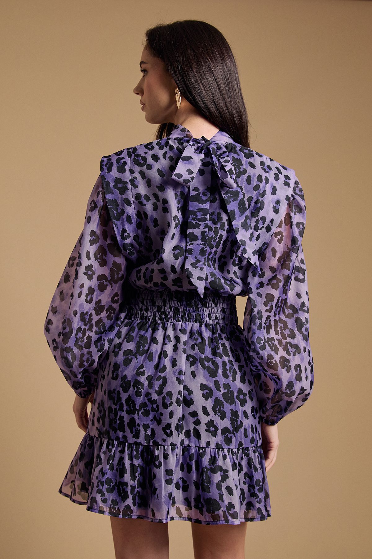 Oasis Organza Shirred Waist Mini Dress Plum image 3