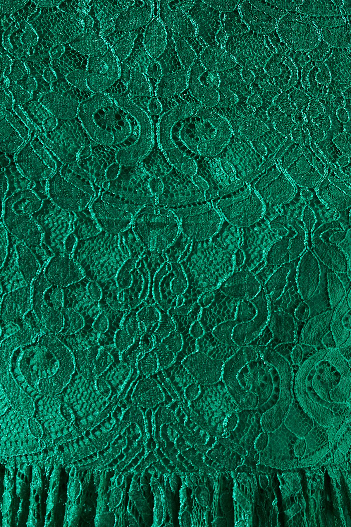 Coast Lace Short Sleeve Midi Dress Green image 5