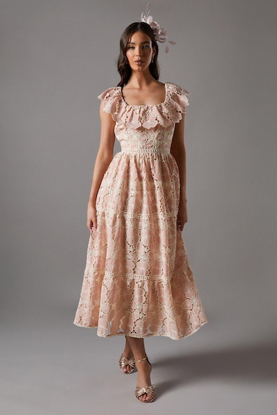Coast Crochet Lace Bardot Midi Dress Blush