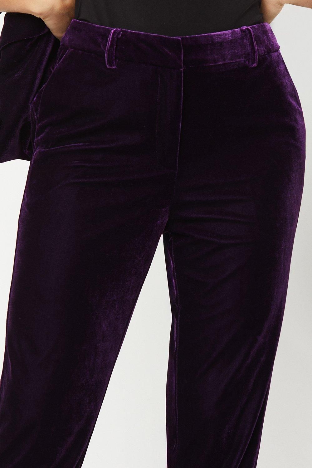 Dorothy Perkins Velvet Tailored Trouser Midnight Purple image 2
