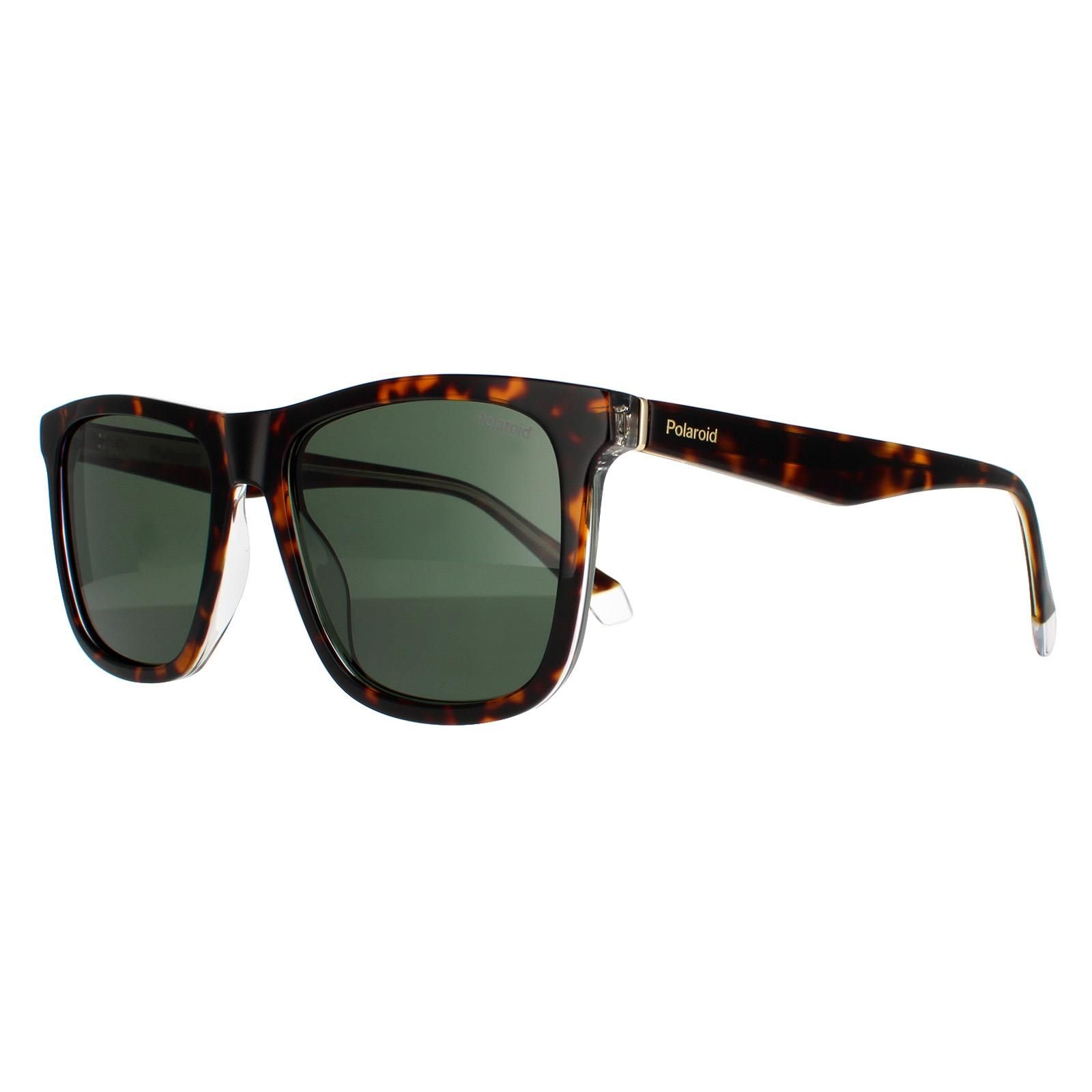 Polaroid Square Havana Green Polarized Sunglasses image 2