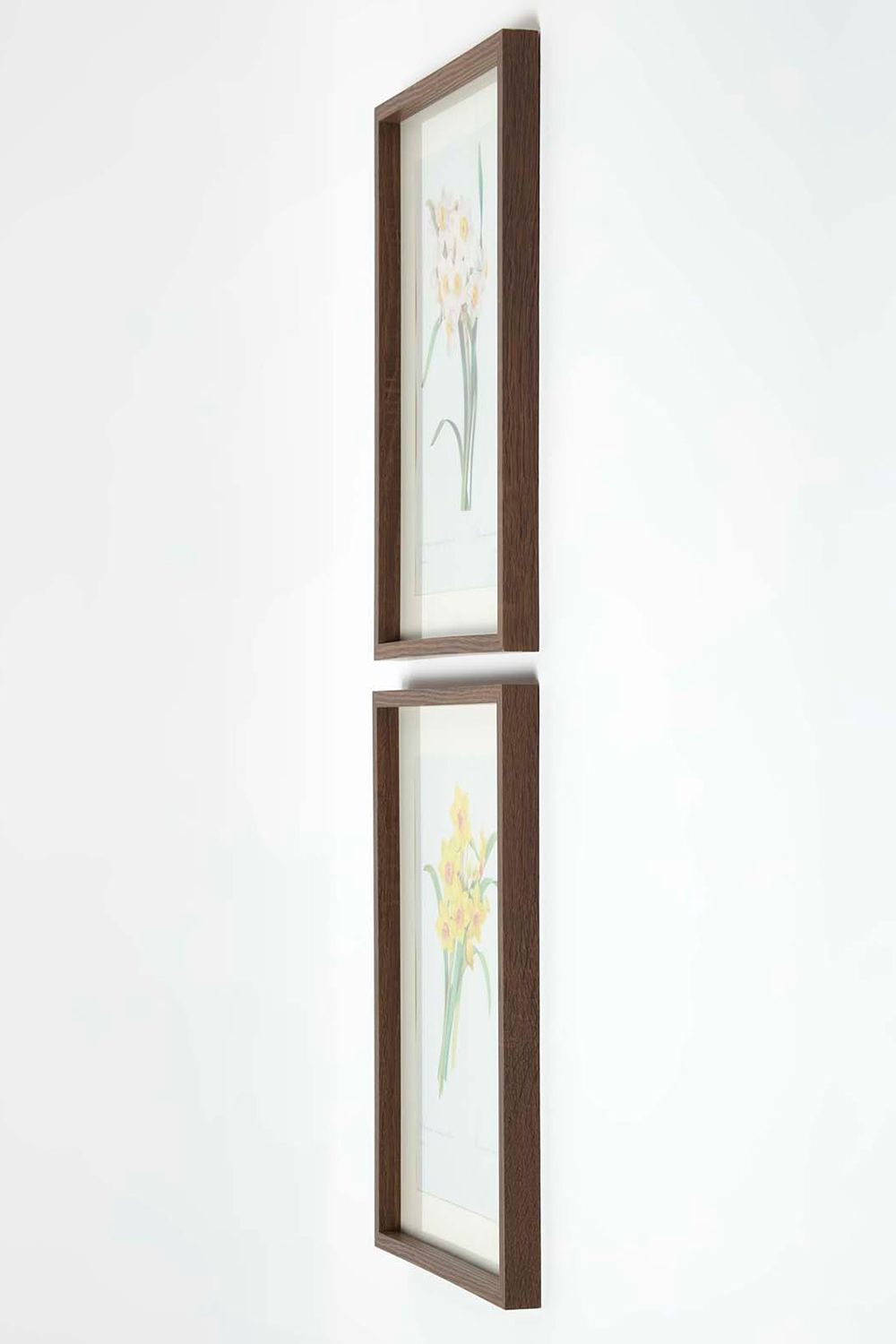 Homescapes Set of 2 Narcissus Flower Wall Art image 5
