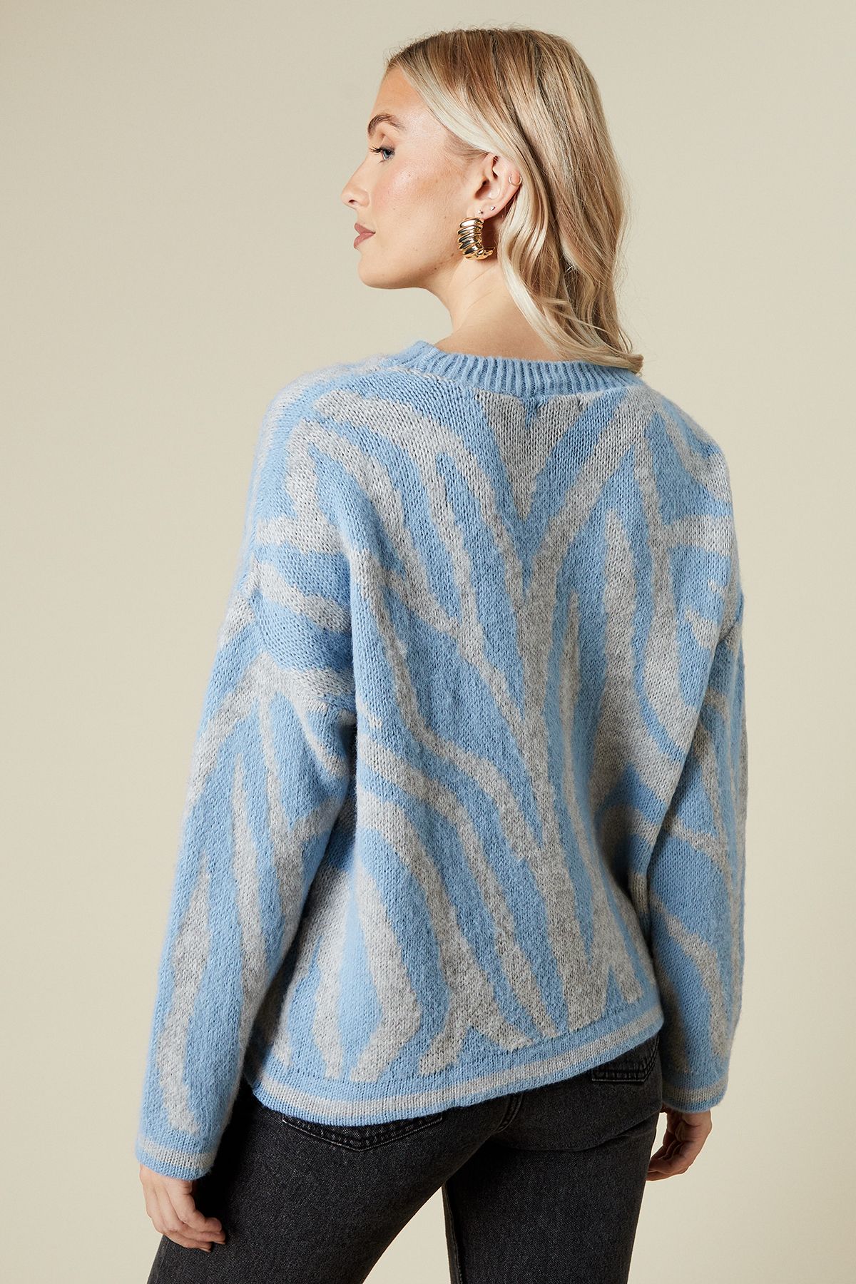 Dorothy Perkins Zebra Crew Neck Jumper Blue image 3