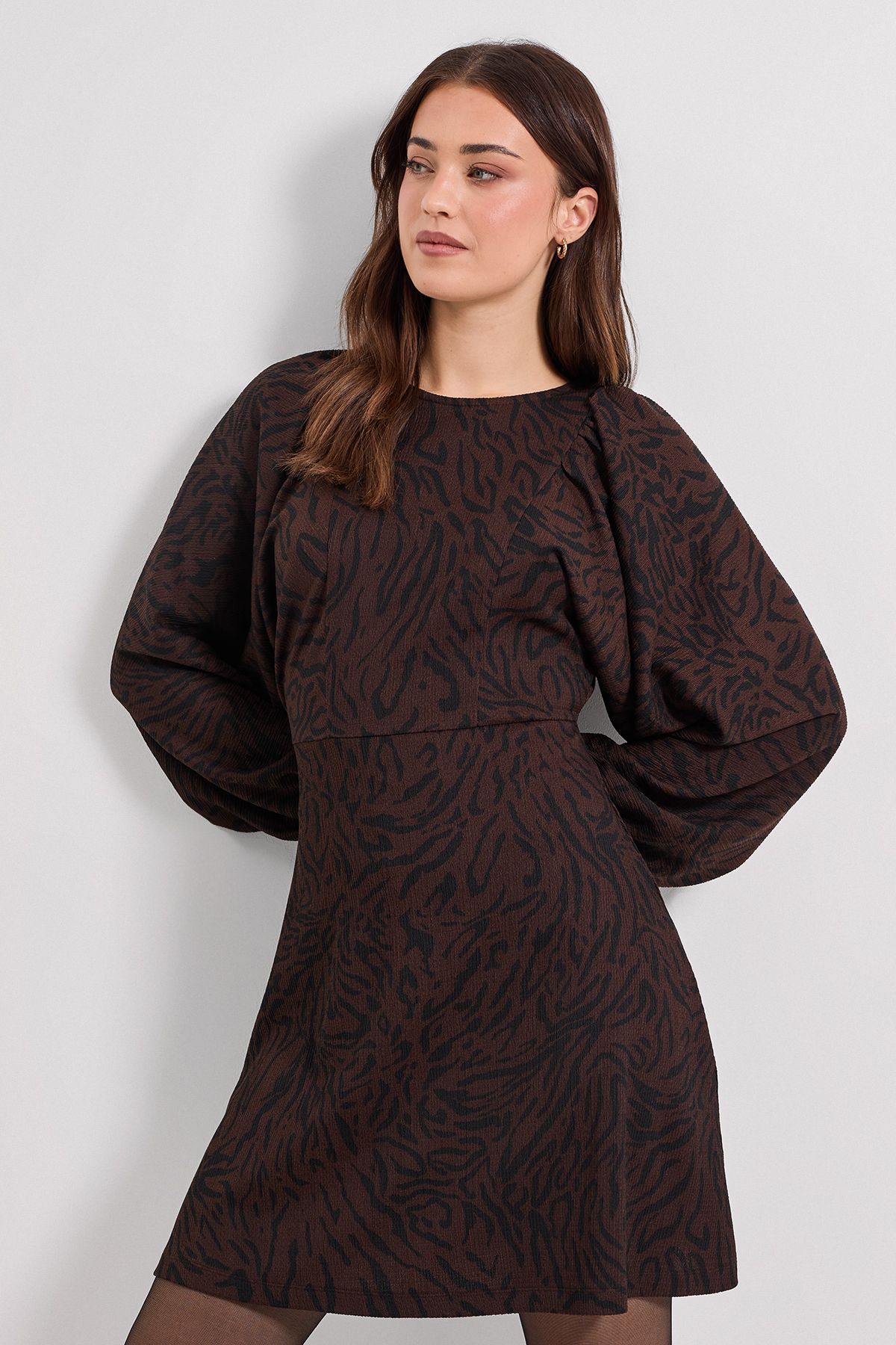 Dorothy Perkins Brown Animal Blouson Sleeve Printed Jersey Mini Dress Brown image 1
