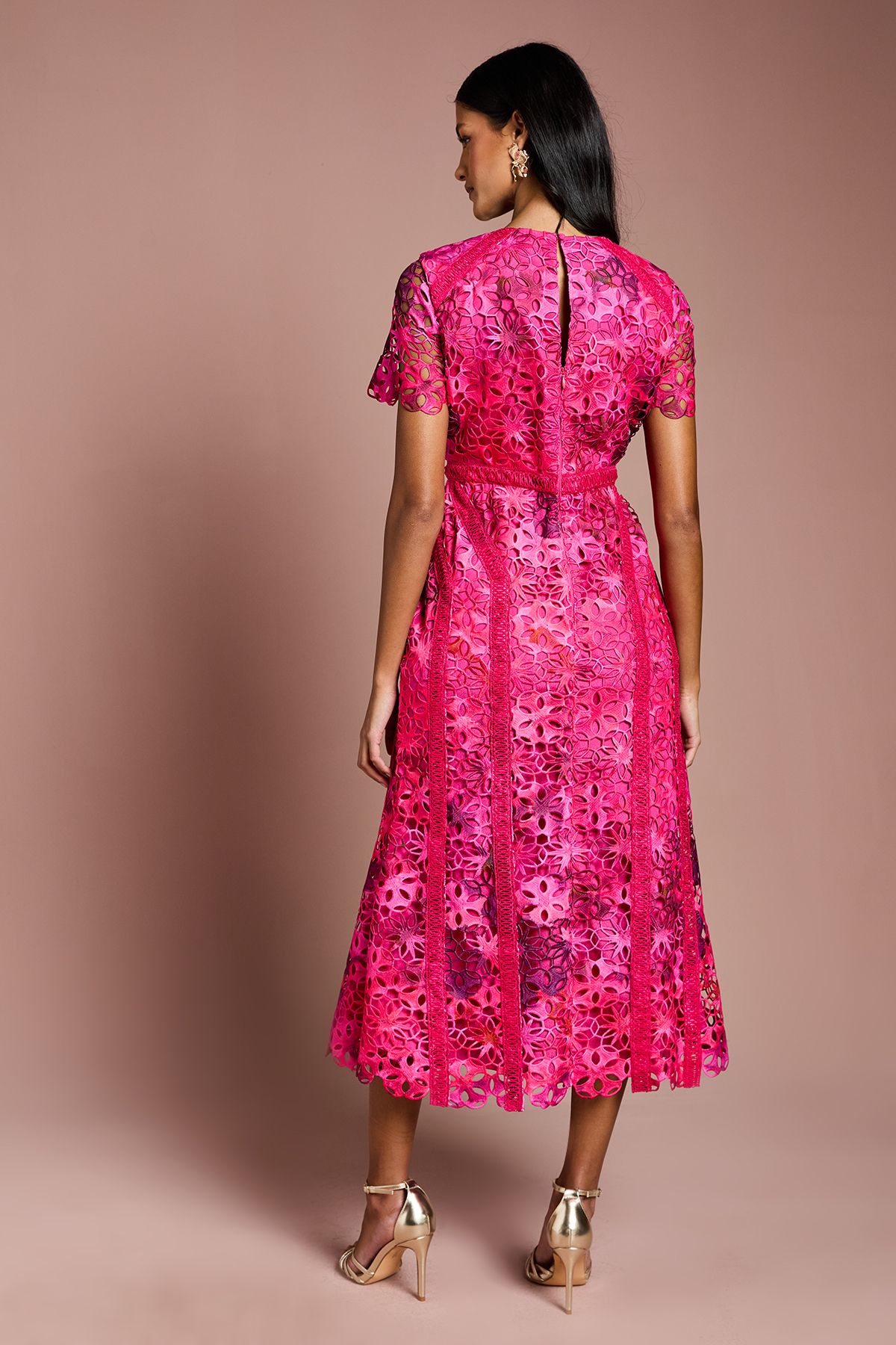 Coast Petite Printed Lace Midi Pencil Dress Pink image 3