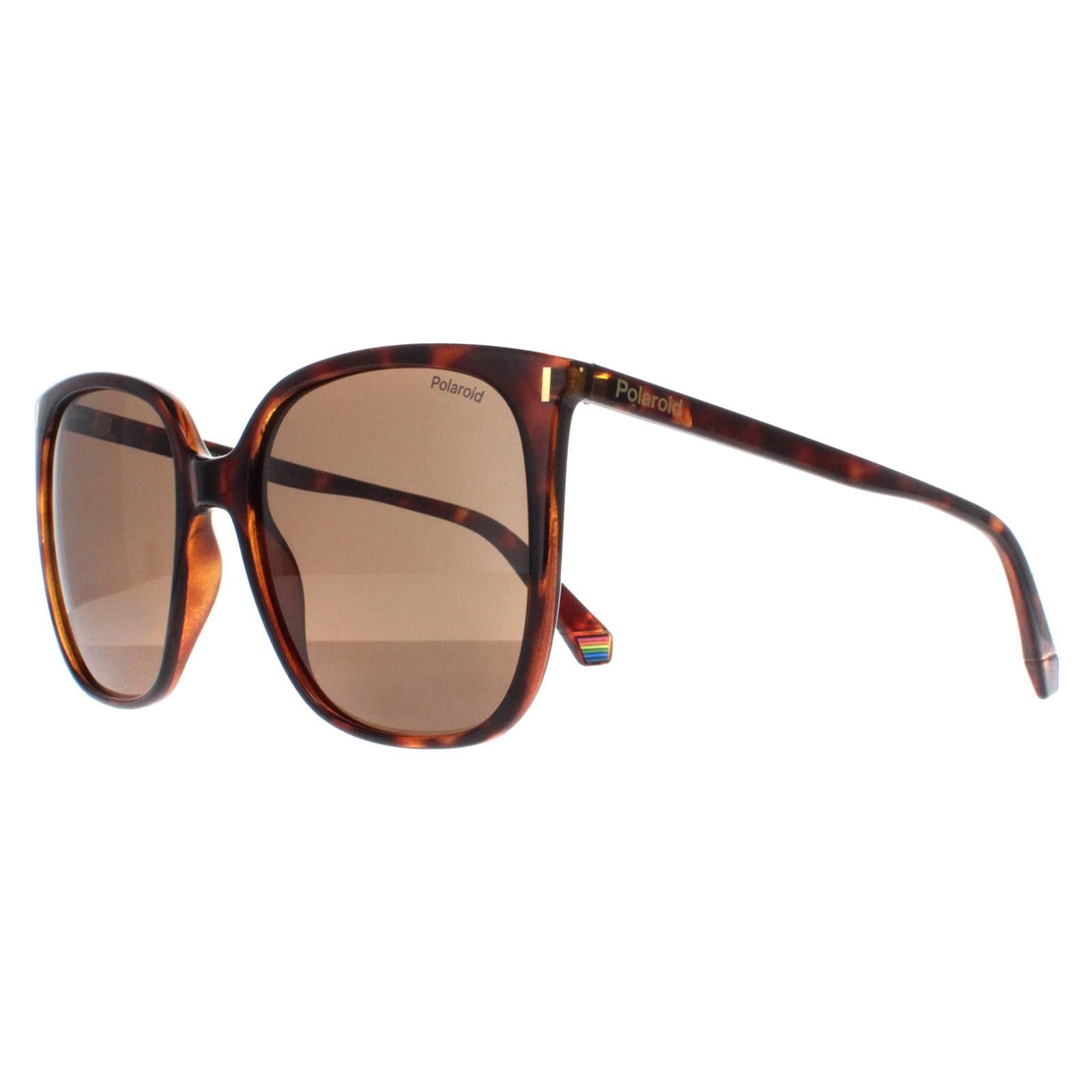 Polaroid Square Havana Bronze Polarized PLD 6218/S image 2