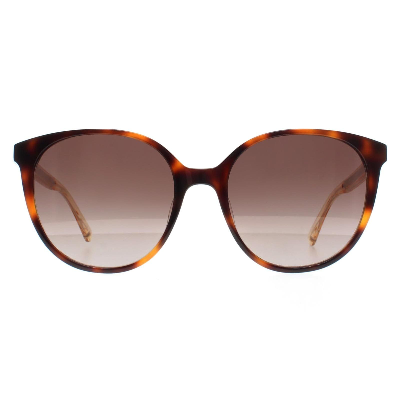 Kate Spade Oval Havana  Brown Gradient Kimberlyn/G/S image 1