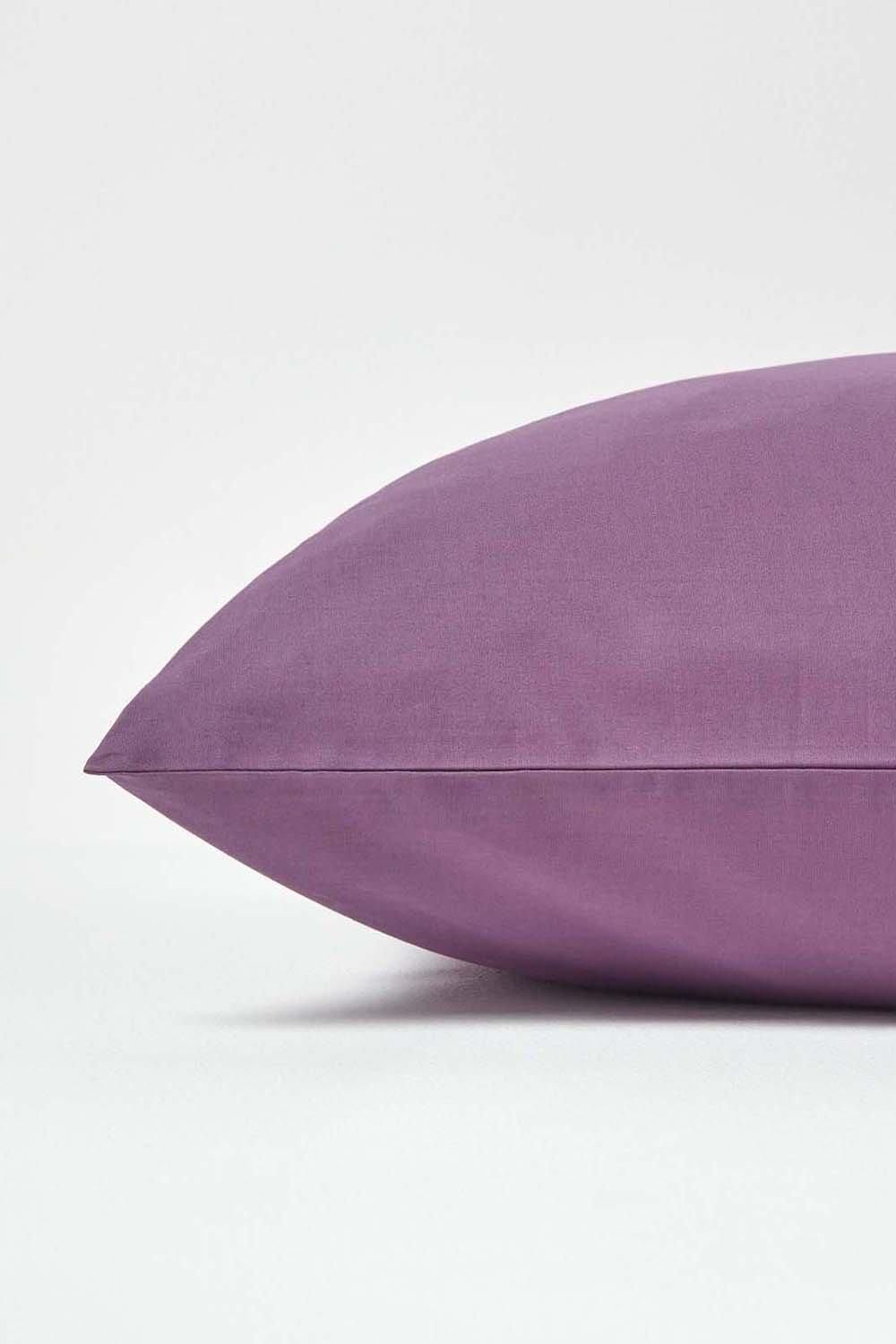 Homescapes Continental Egyptian Cotton Pillowcase 200 TC, 80 x 80 cm image 2