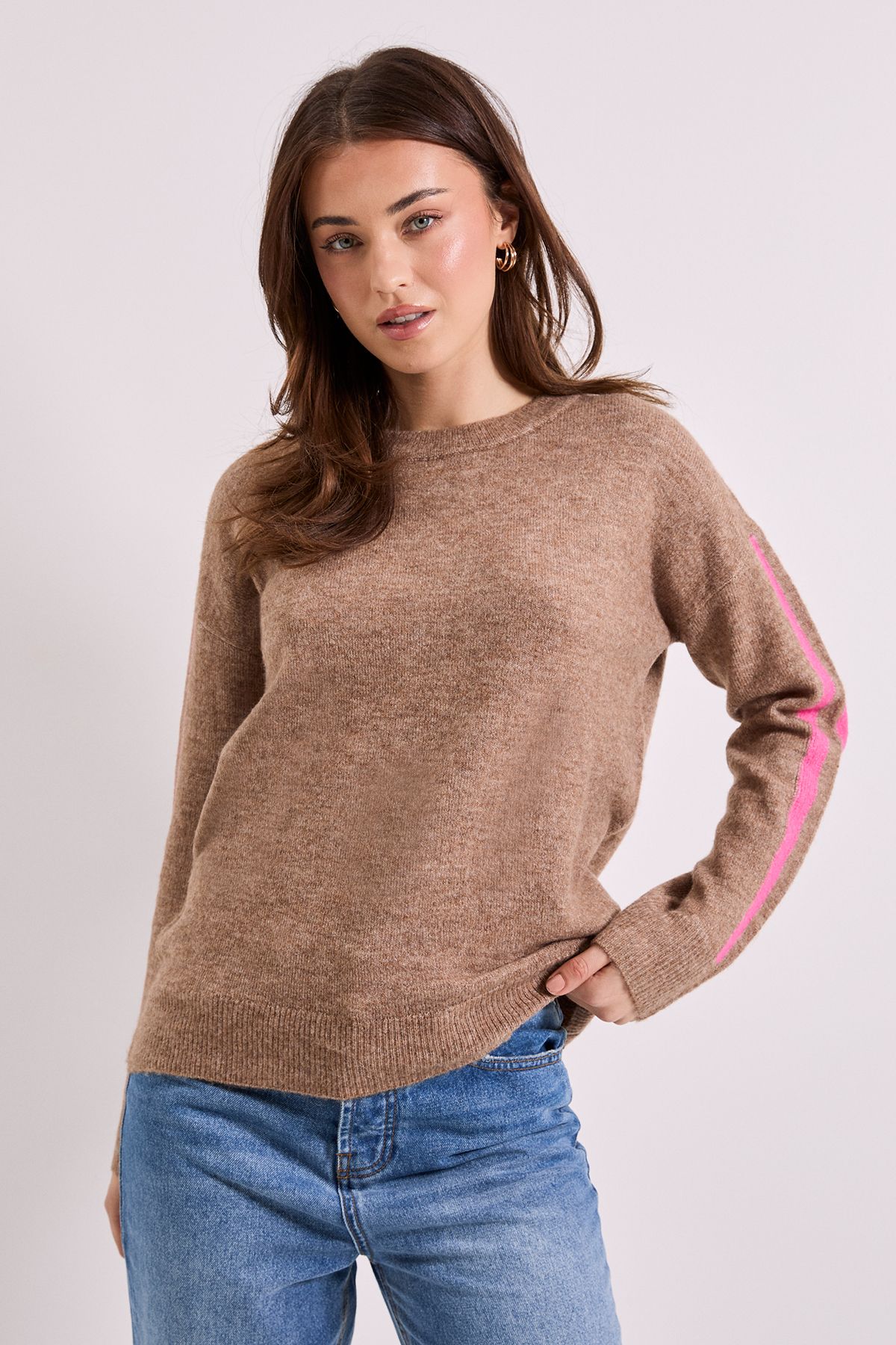 Dorothy Perkins Stripe Sleeve Crew Neck Jumper Camel image 4