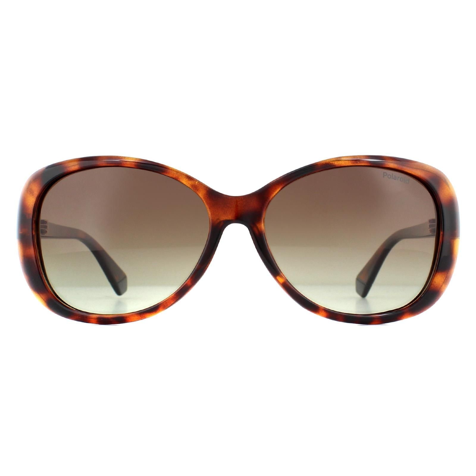 Polaroid Fashion Havana Brown Gradient Polarized Sunglasses image 1