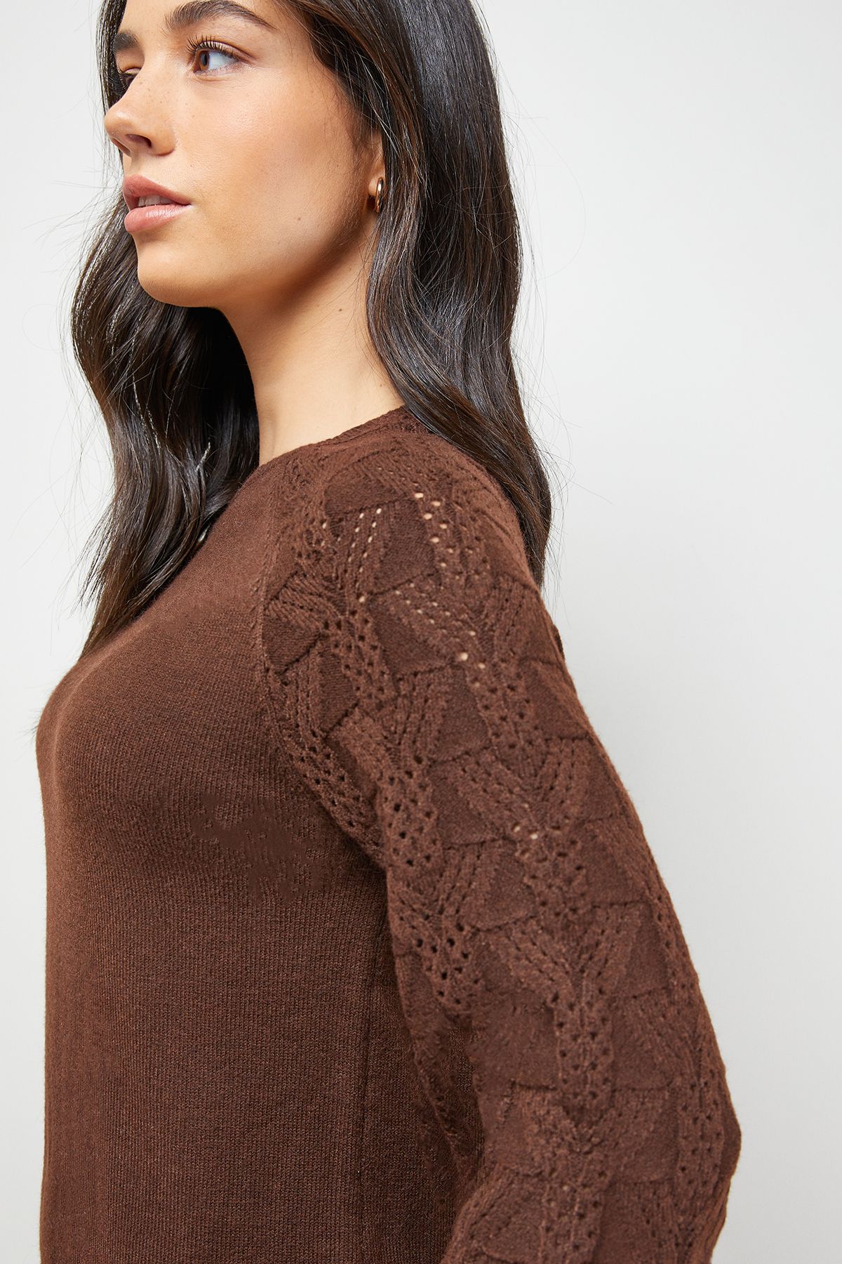 Oasis Slash Neck Sleeve Detail Jumper Dress Chocolate image 2
