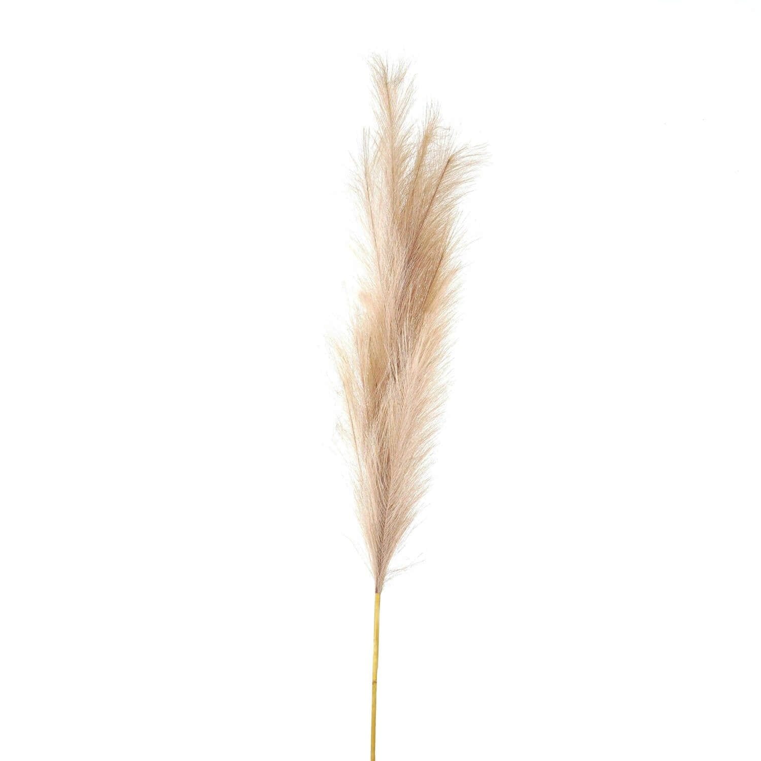 Sostter Bleached Faux Pampas Grass Stem image 1