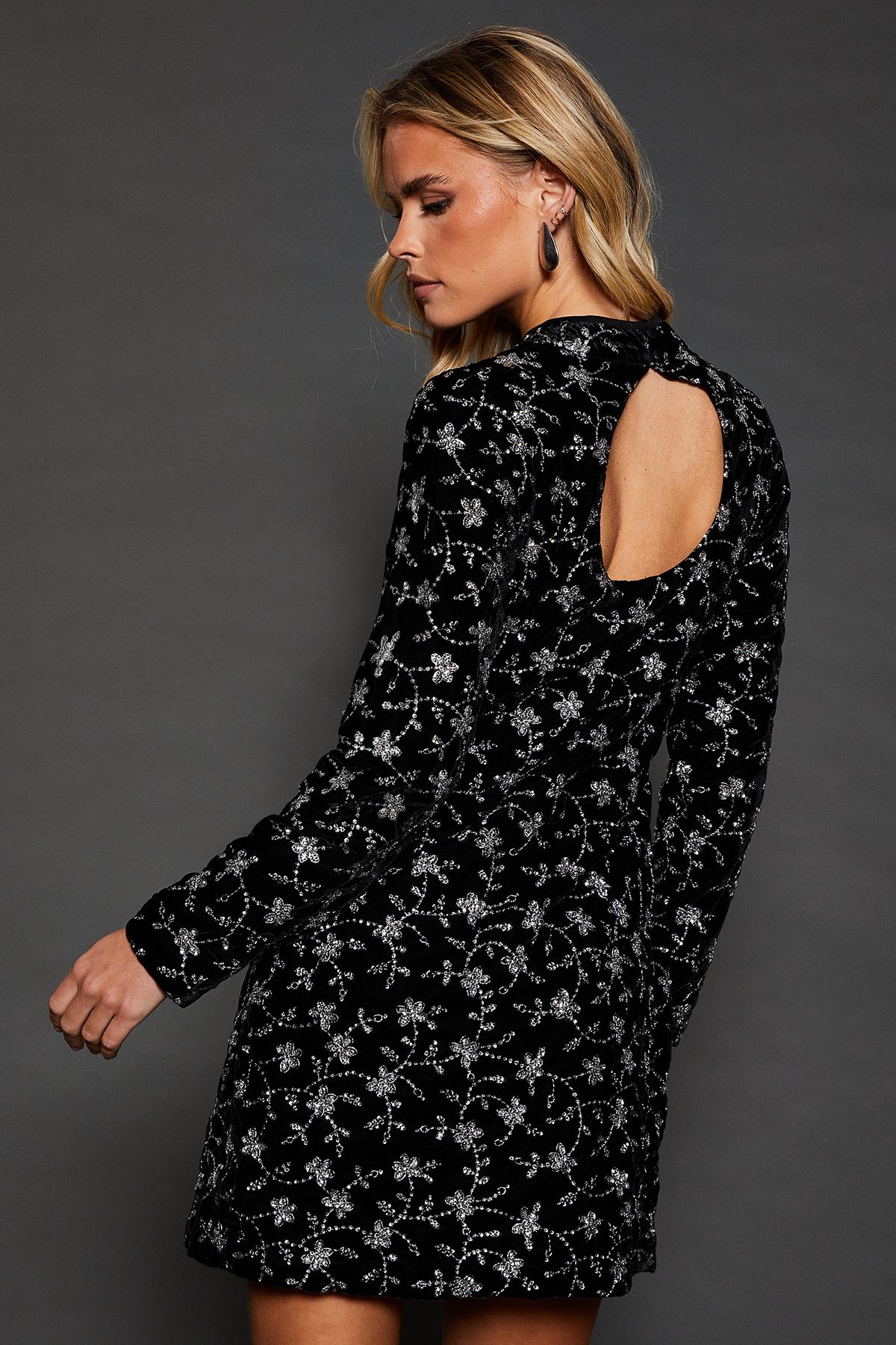 Dorothy Perkins Dp Luxe Petite Black Embroidered Velvet Mini Dress Black image 3