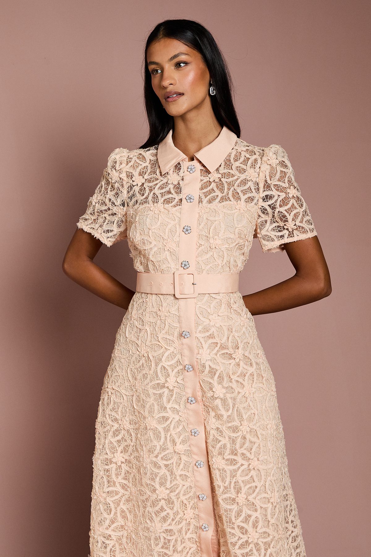 Coast Petite Floral Lace Collared Midi Dress Nude image 2