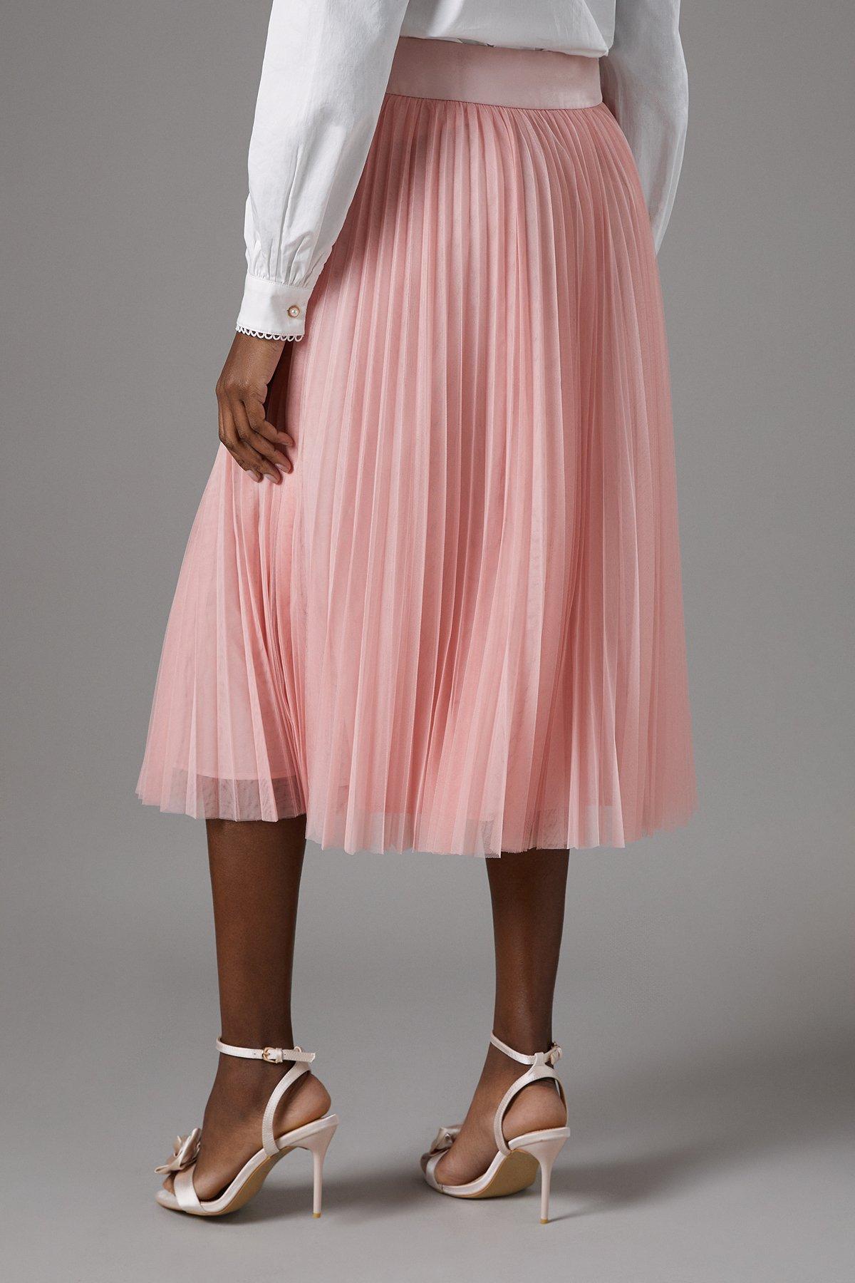 Coast Tulle Pleated Skirt Blush image 3