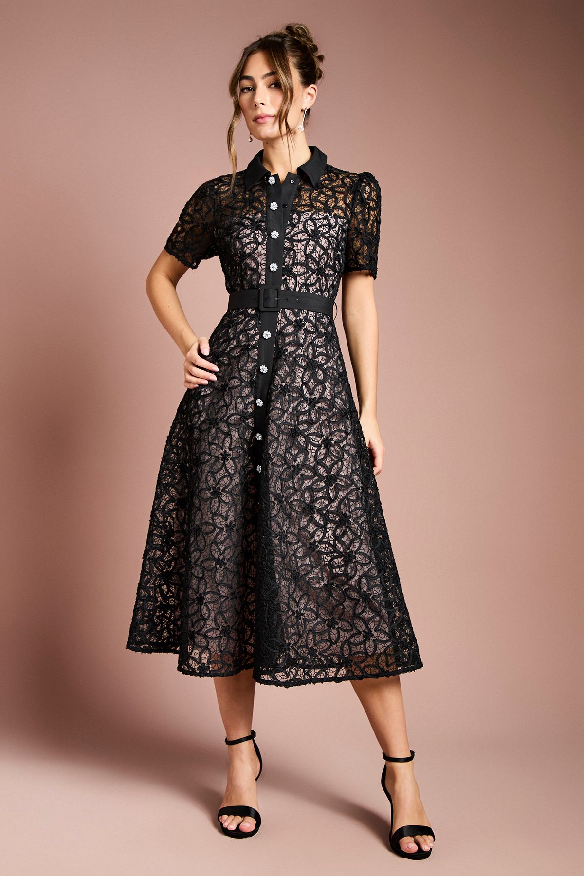 Coast Floral Lace Collared Midi Dress Black image 1